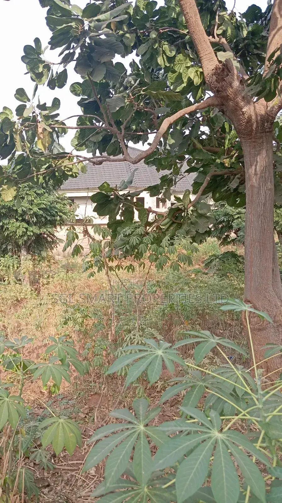 One and Half Plots for Sale at Aguoye Mini Estate
