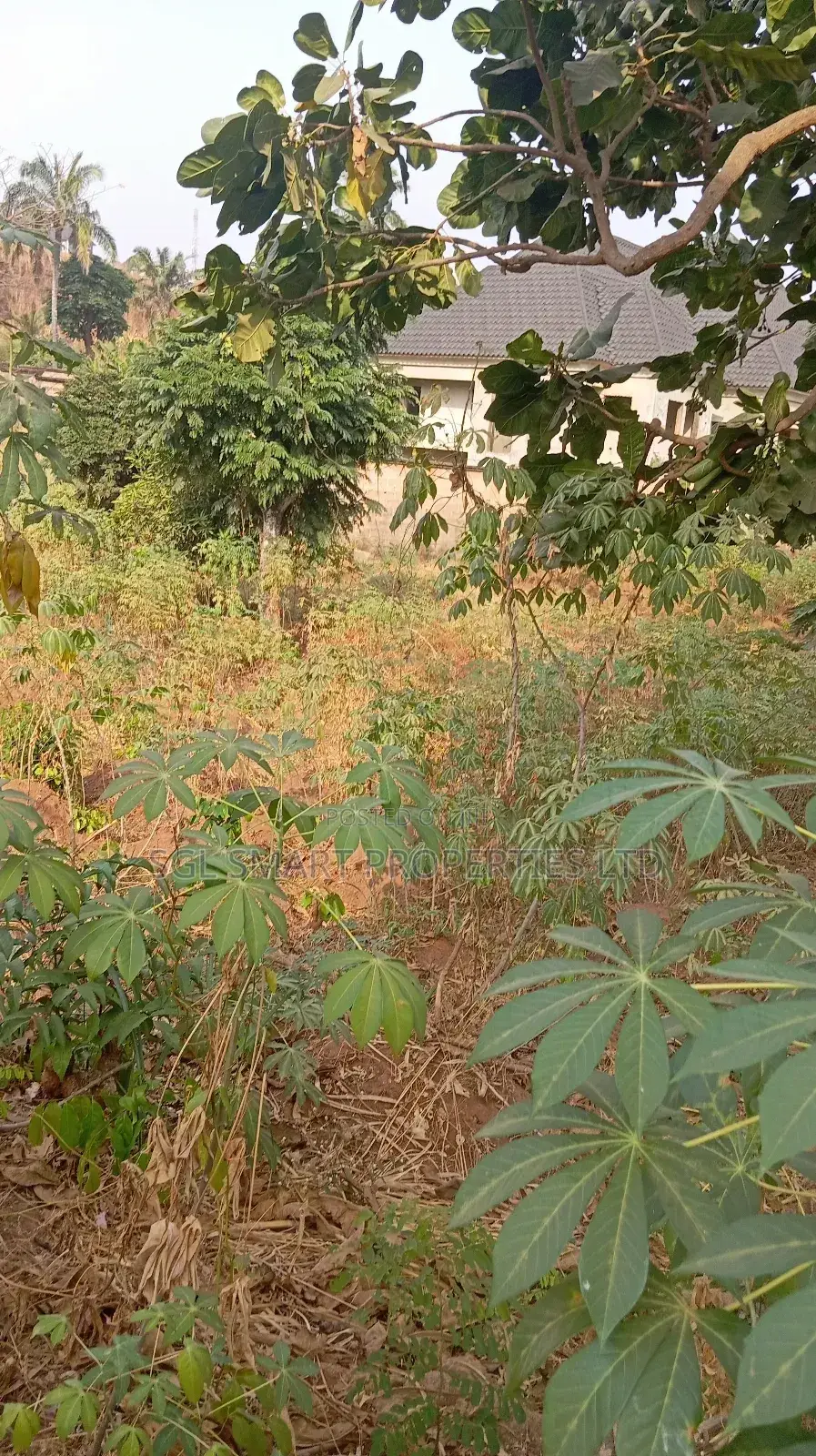 One and Half Plots for Sale at Aguoye Mini Estate