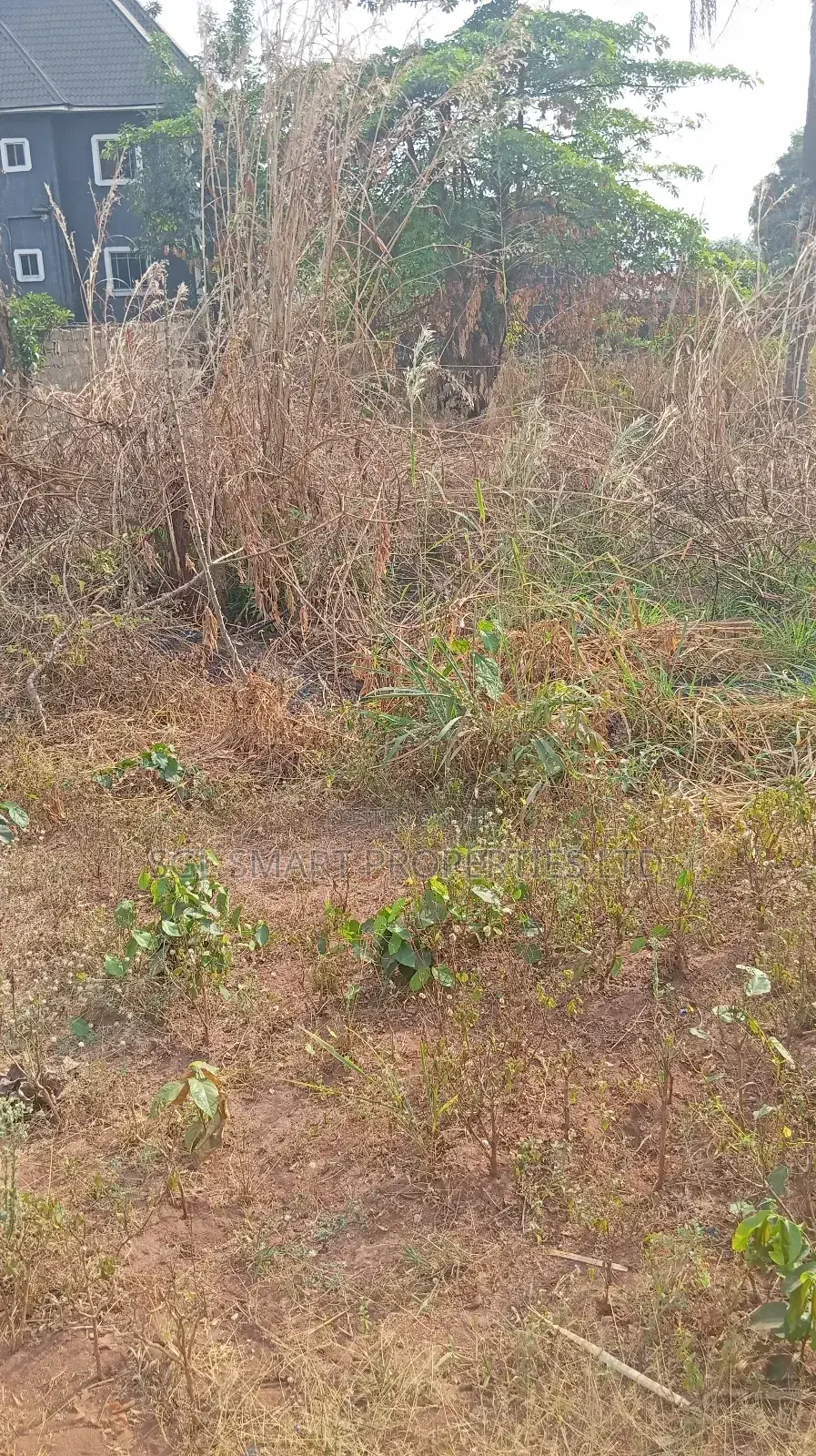 One Plot of Land for Sale at Nkwelle Àwka