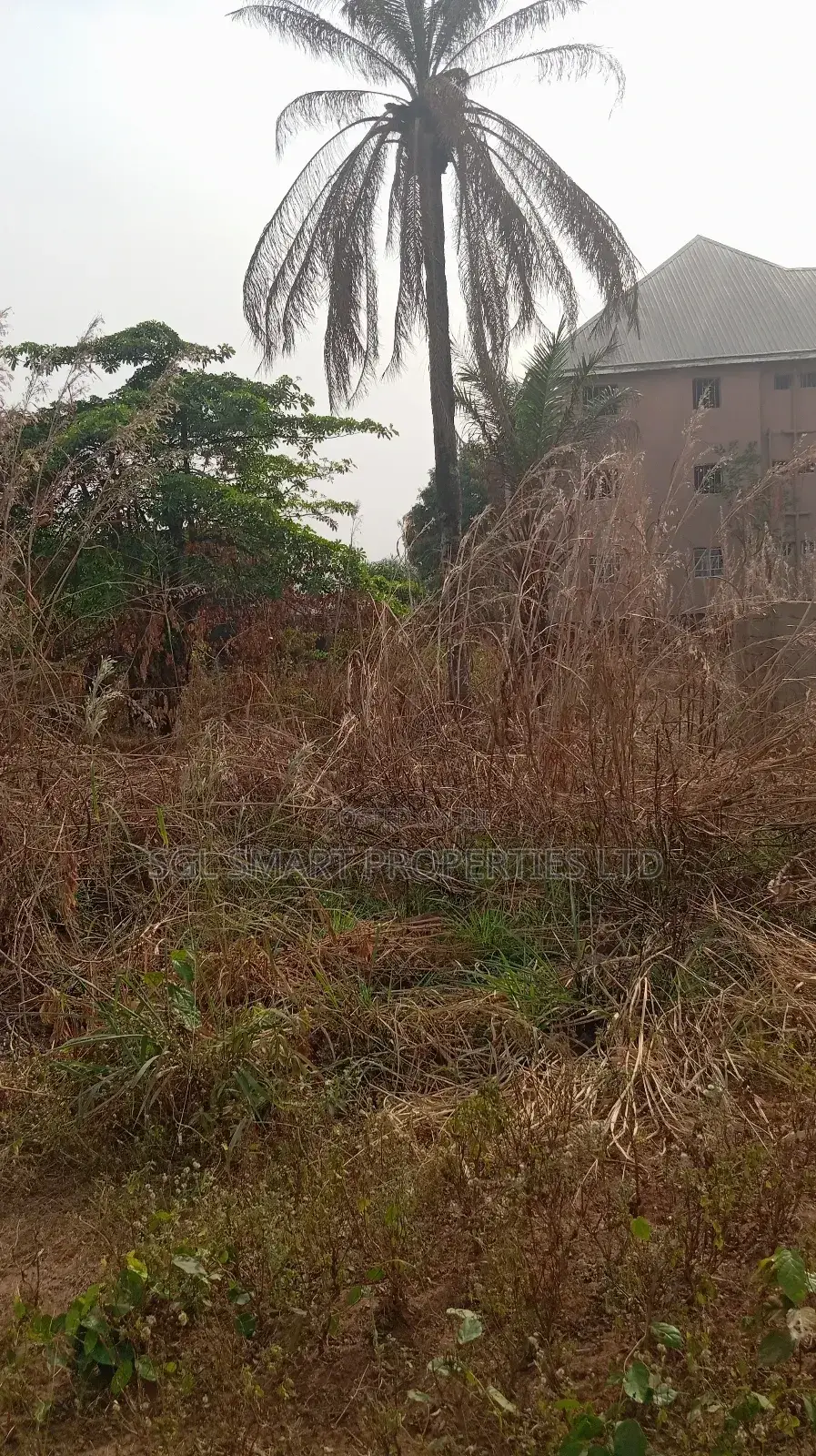 One Plot of Land for Sale at Nkwelle Àwka