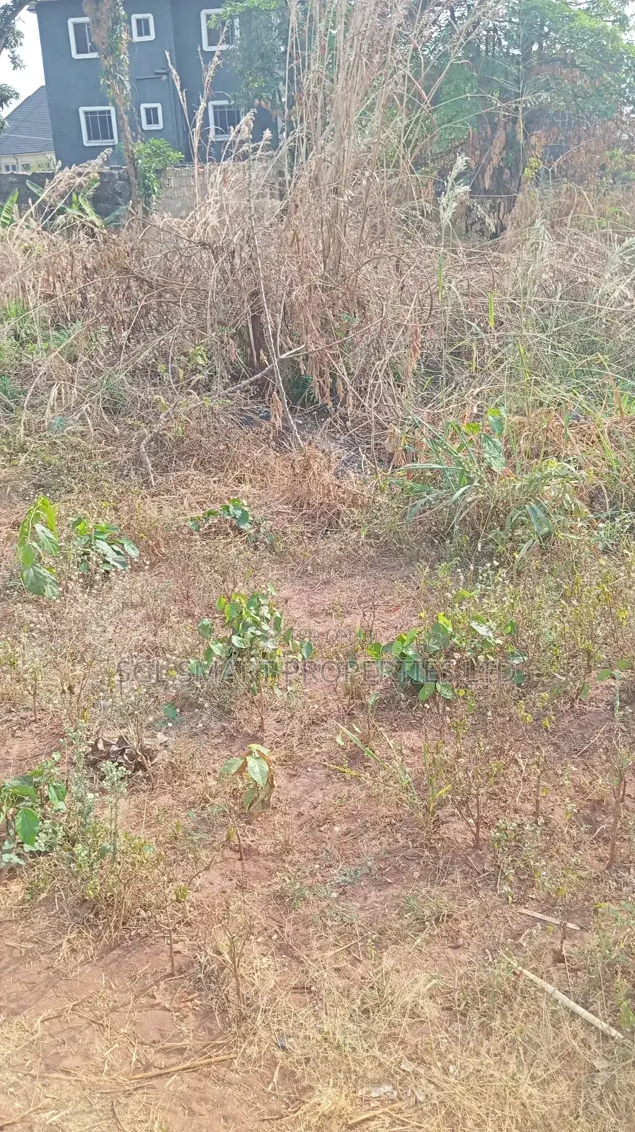 One Plot of Land for Sale at Nkwelle Àwka