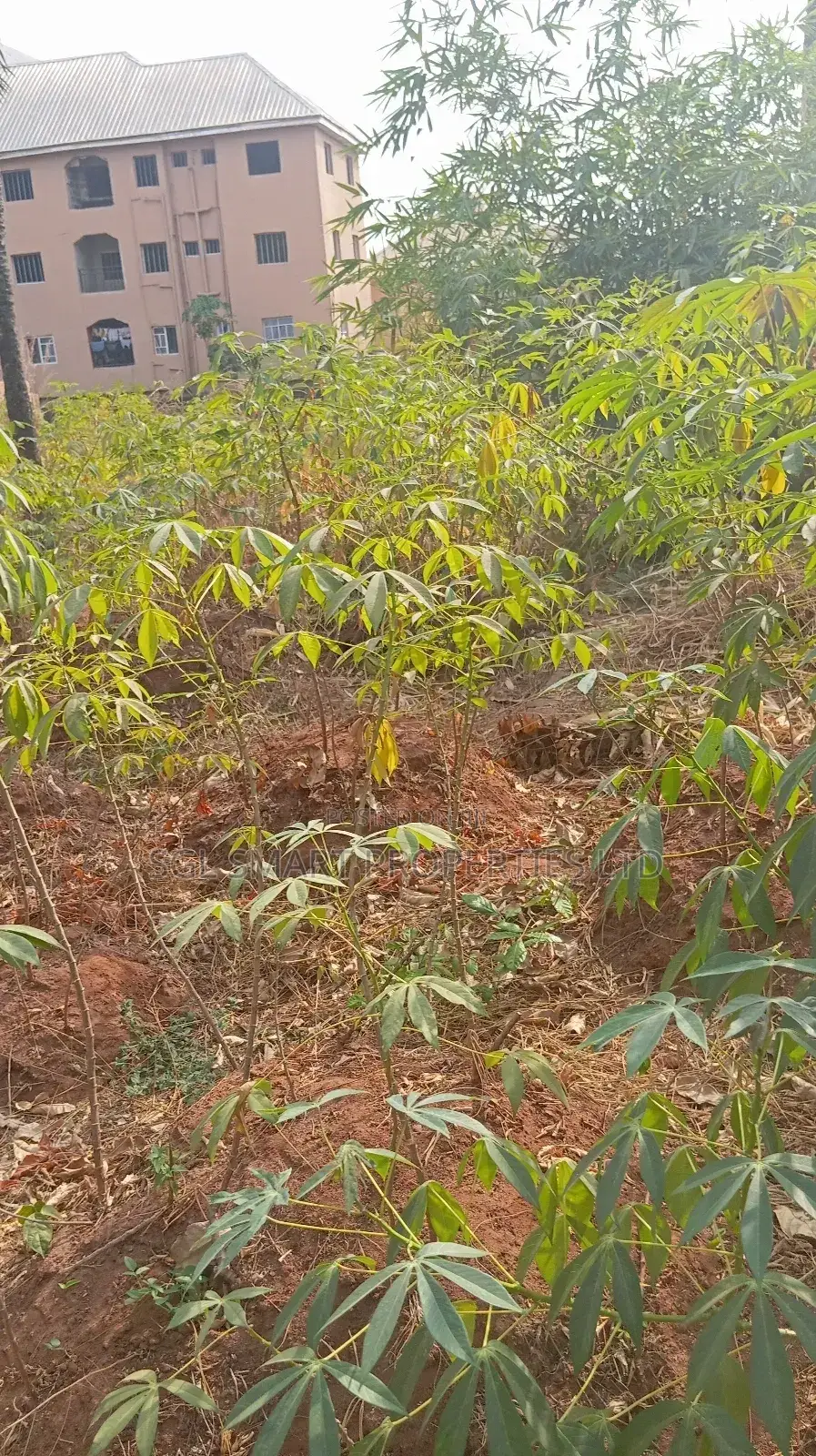 One Plot of Land for Sale in Nkwelle Awka, Anambra State