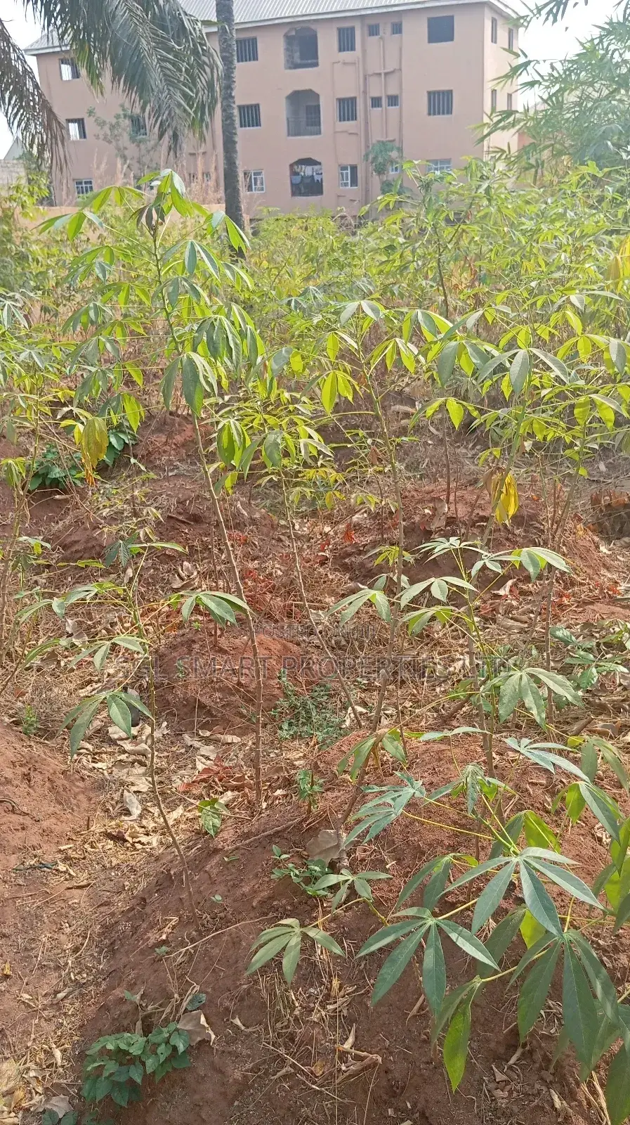 One Plot of Land for Sale in Nkwelle Awka, Anambra State