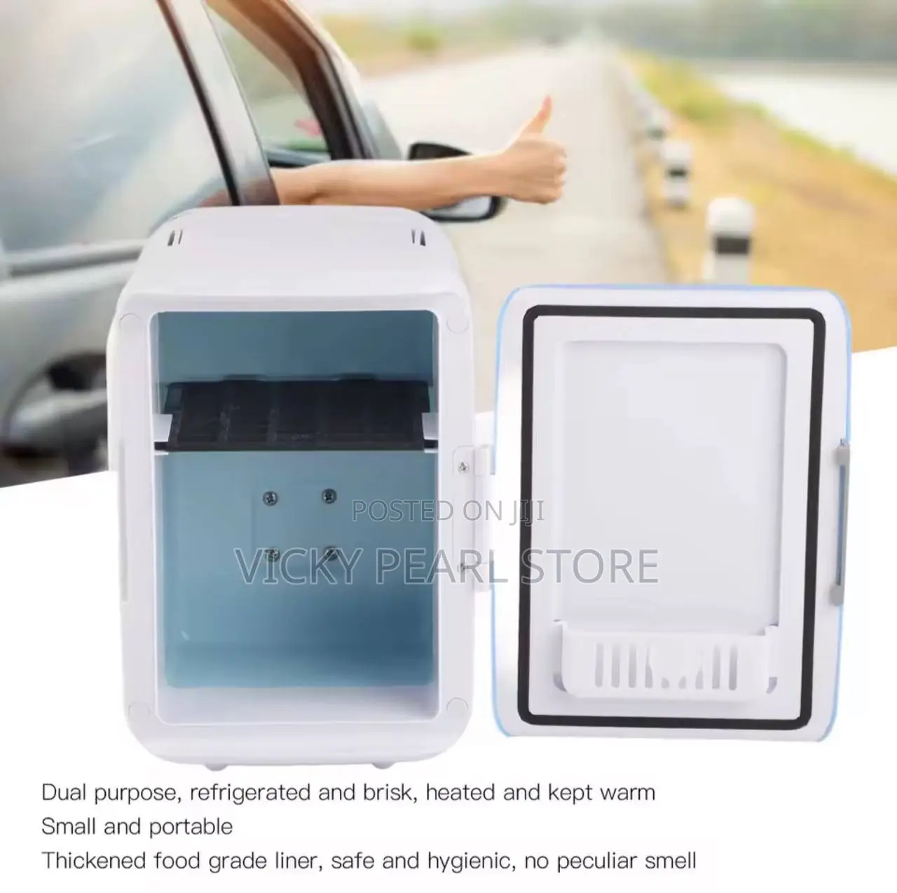 4l Mini Car Fridge