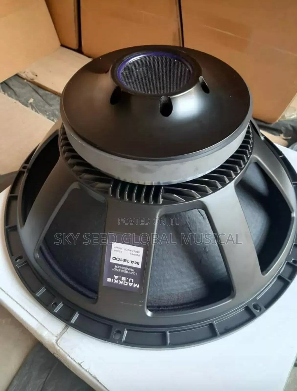 18 Inches Big Magnet Speaker
