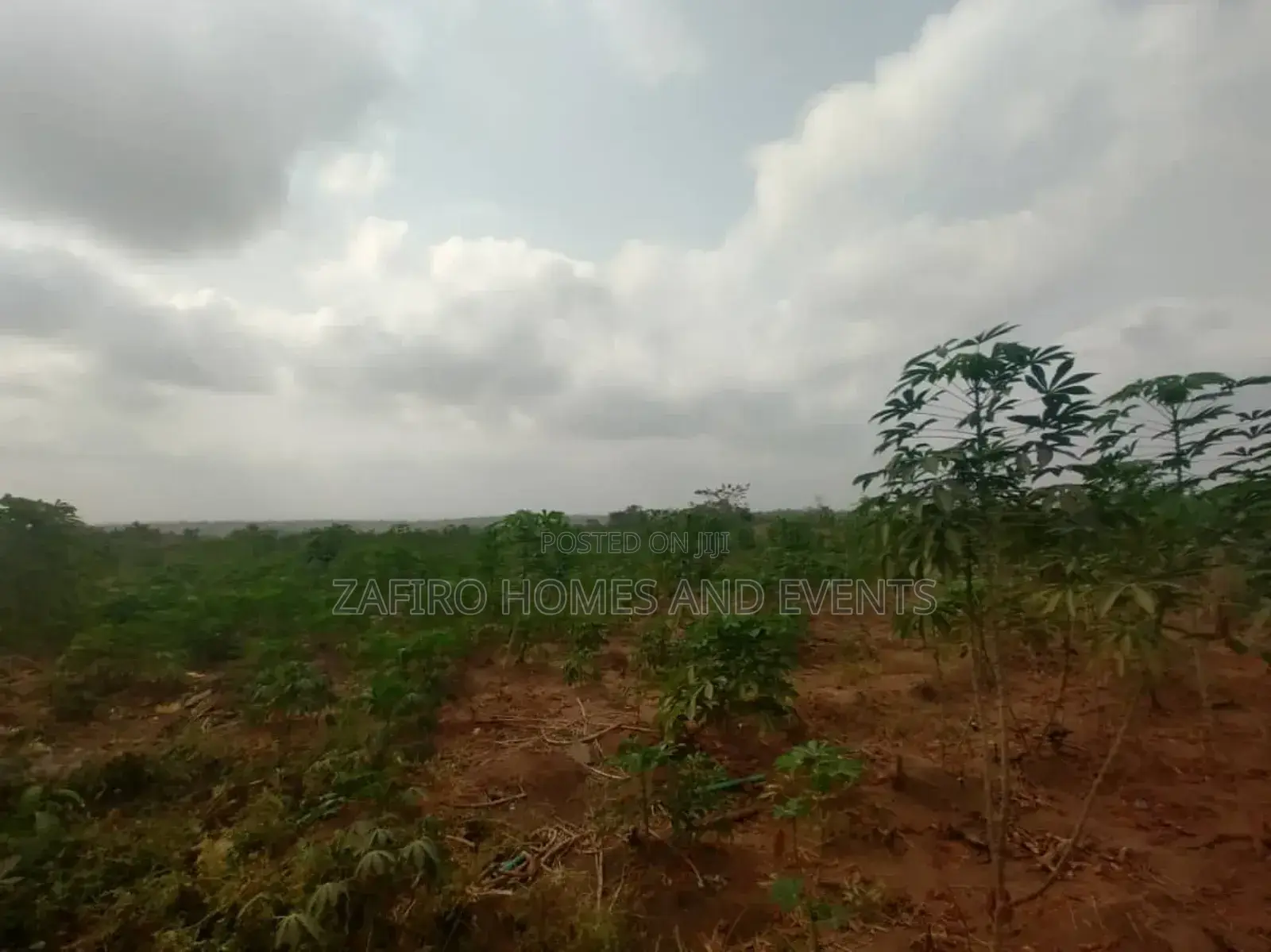 30 Acres of Farmland Near Ido-Eruwa Road Sales