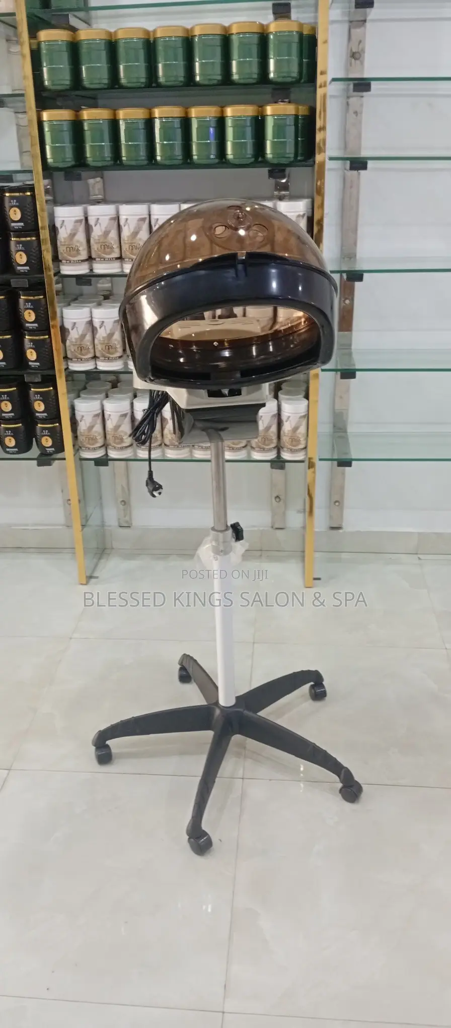 Standing Hair Steamer
