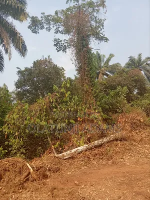 500acres of Farmland at Ogbaga Gbongan at Per Acre