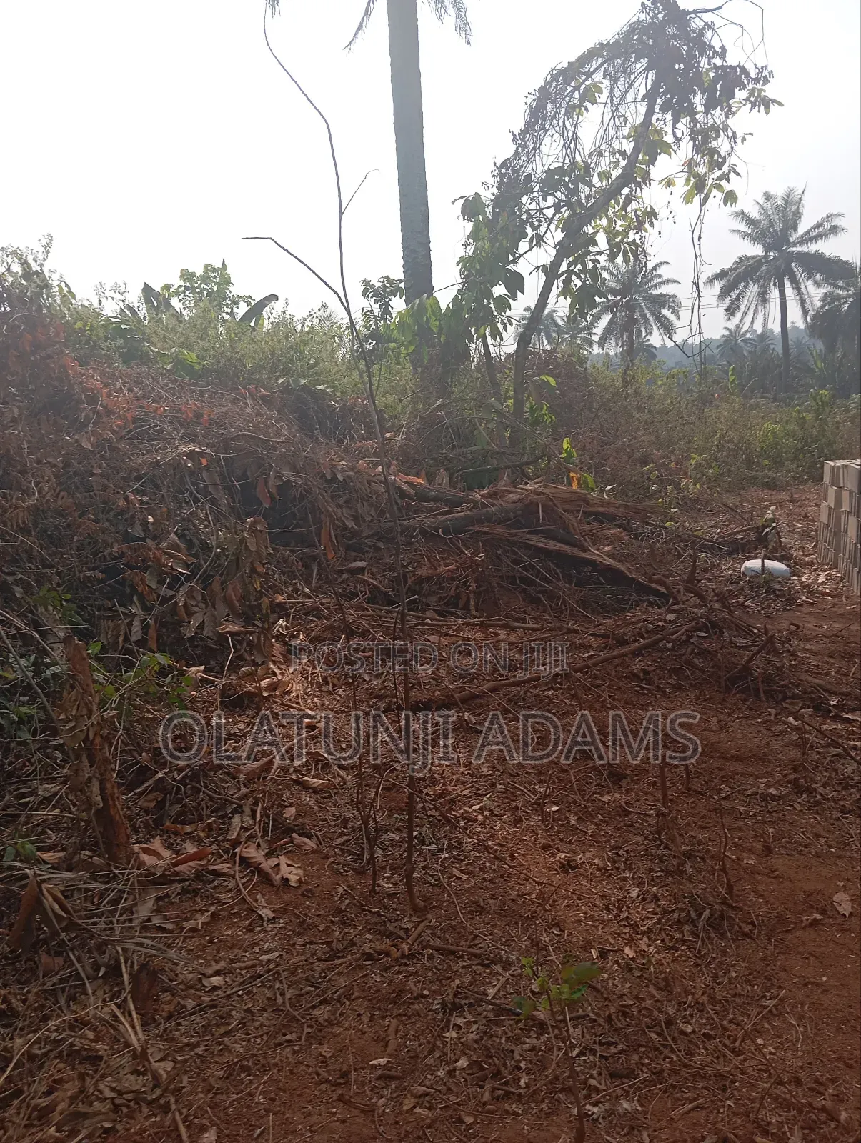 500acres of Farmland at Ogbaga Gbongan at Per Acre