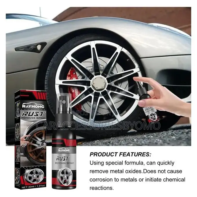 Rayhong Multipurpose Car Rust Remover Spray - 100ml