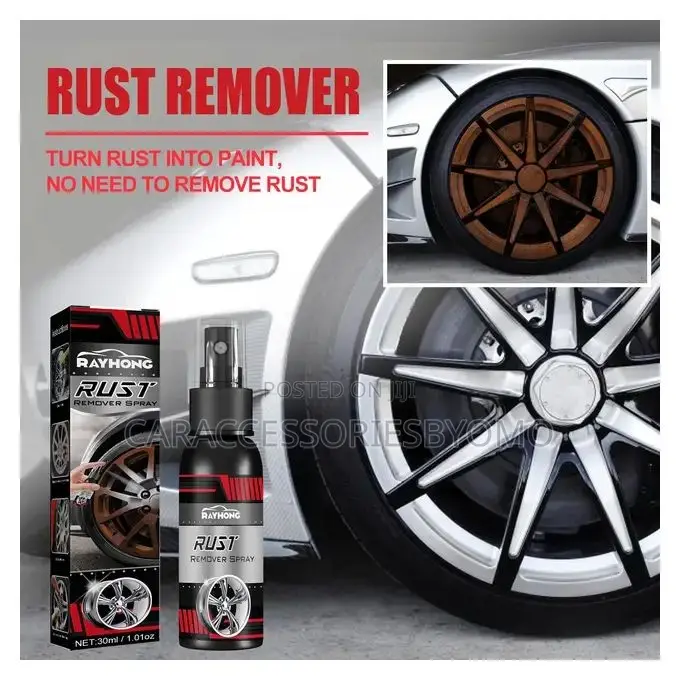 Rayhong Multipurpose Car Rust Remover Spray - 100ml