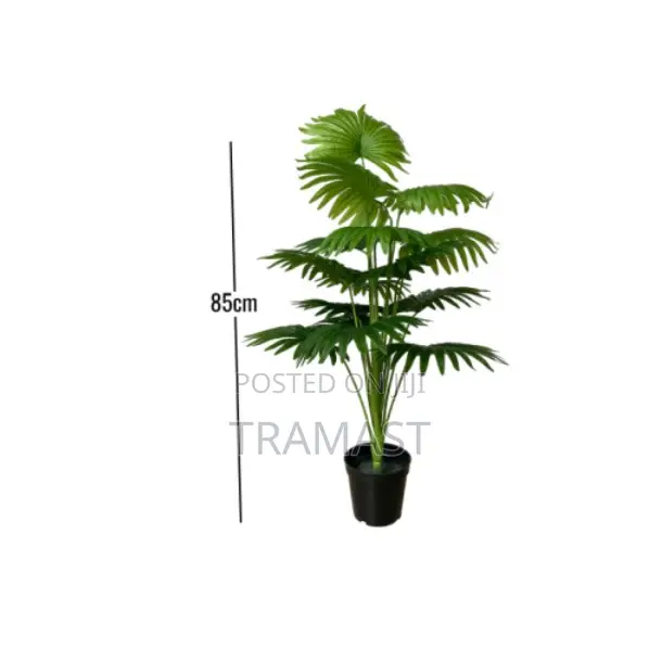 Artificial Plants/Trees/Flowers Palm Plant for Home Decor