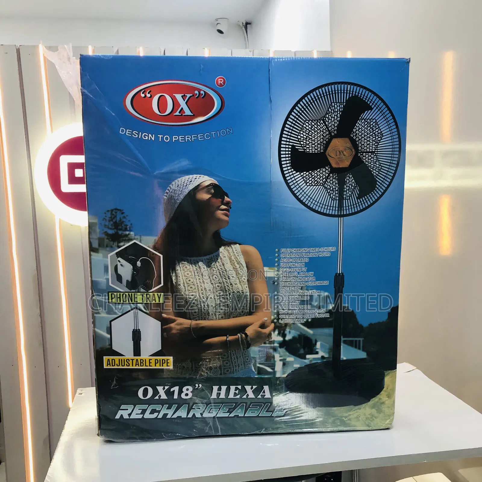 Standing Fan
