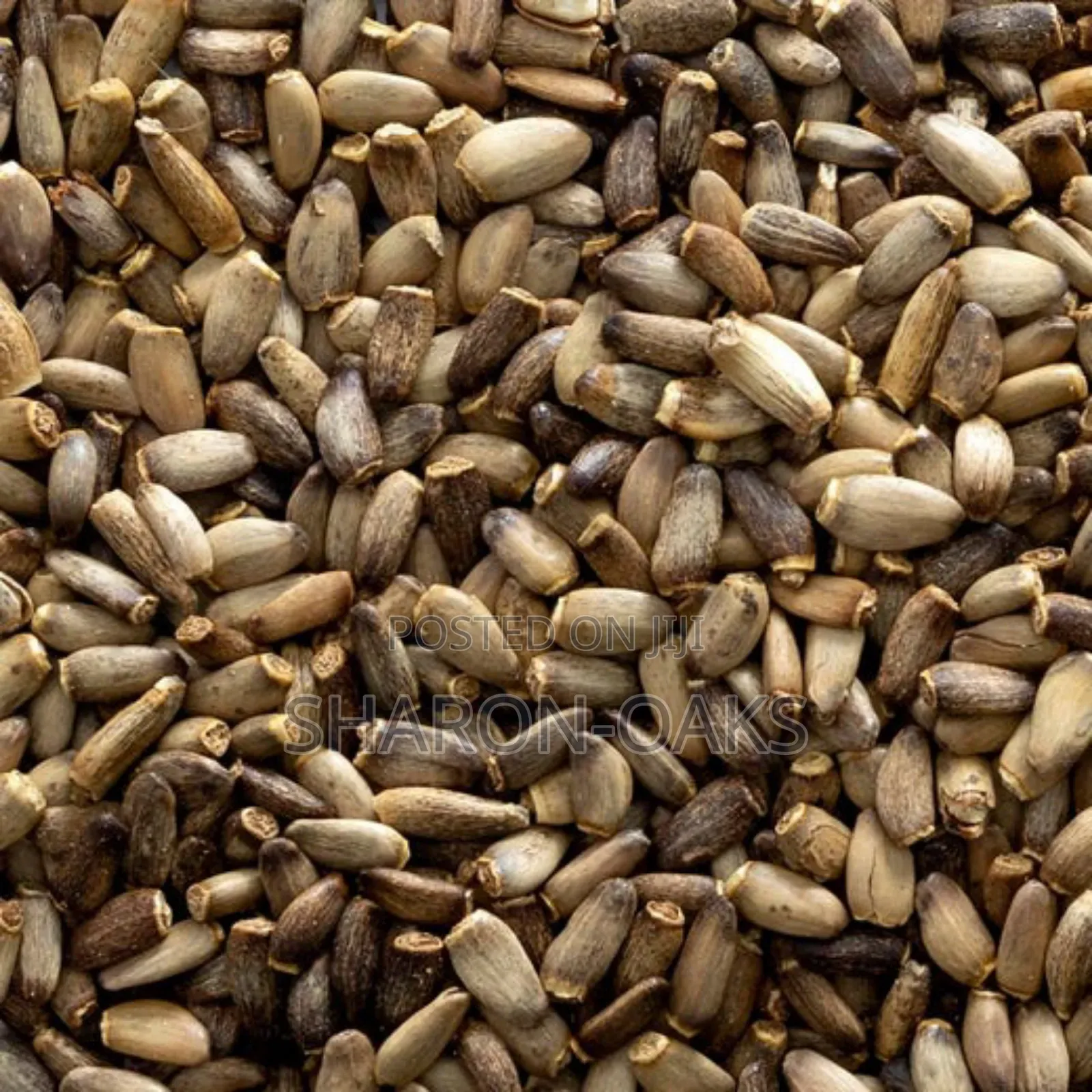 Milk Thistle Seed 1kg