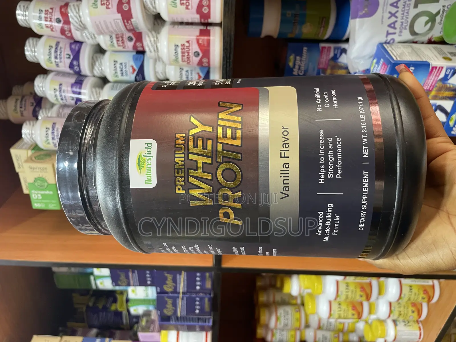 Premium Protein Powder