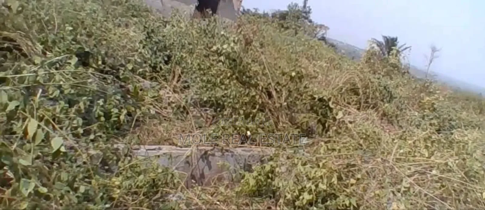 25ft By100ft Starter Plot Ijegun New Solar Estate