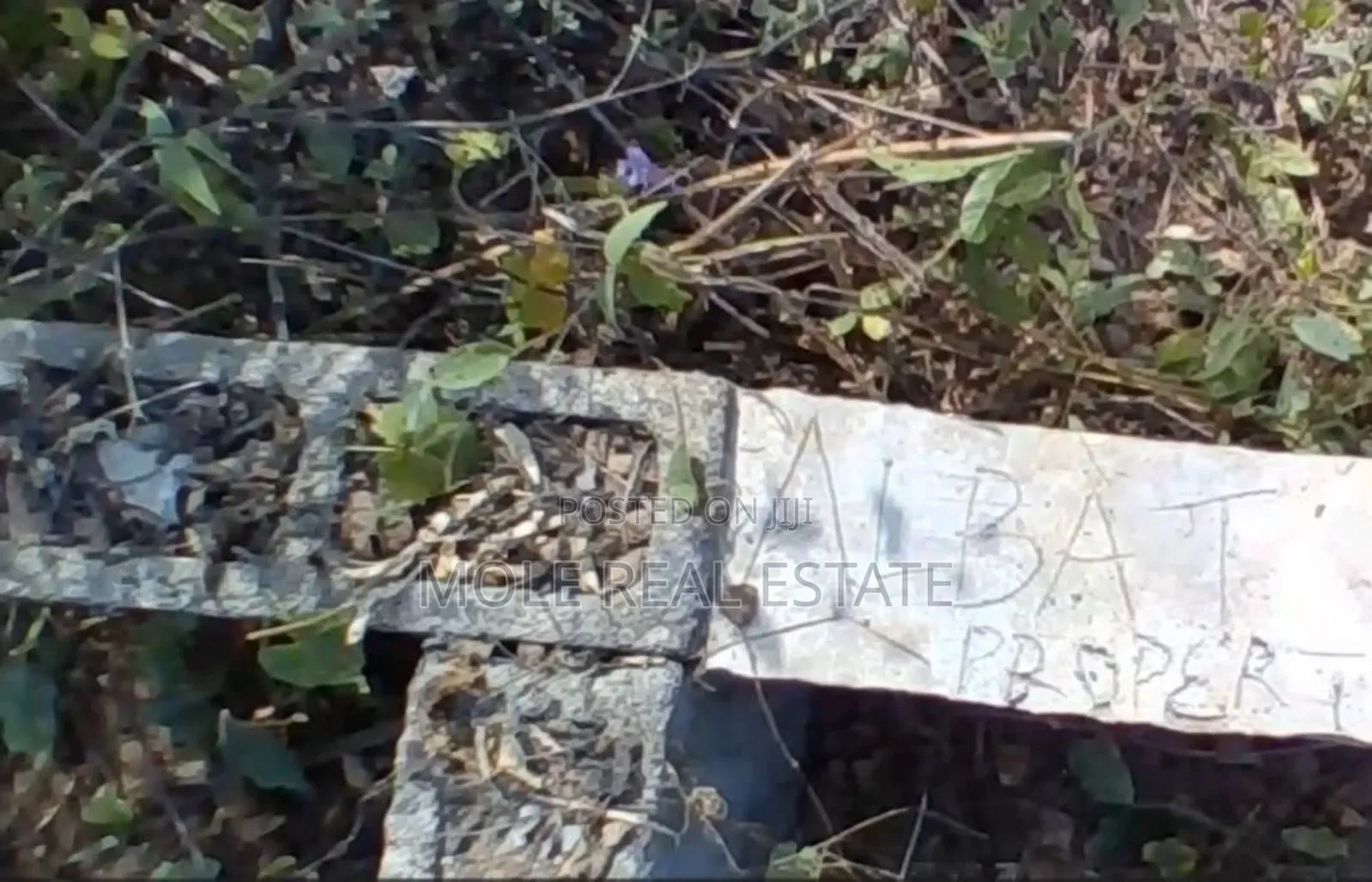 25ft by 50ft Silver Plot Ijegun New Estate Now Salling