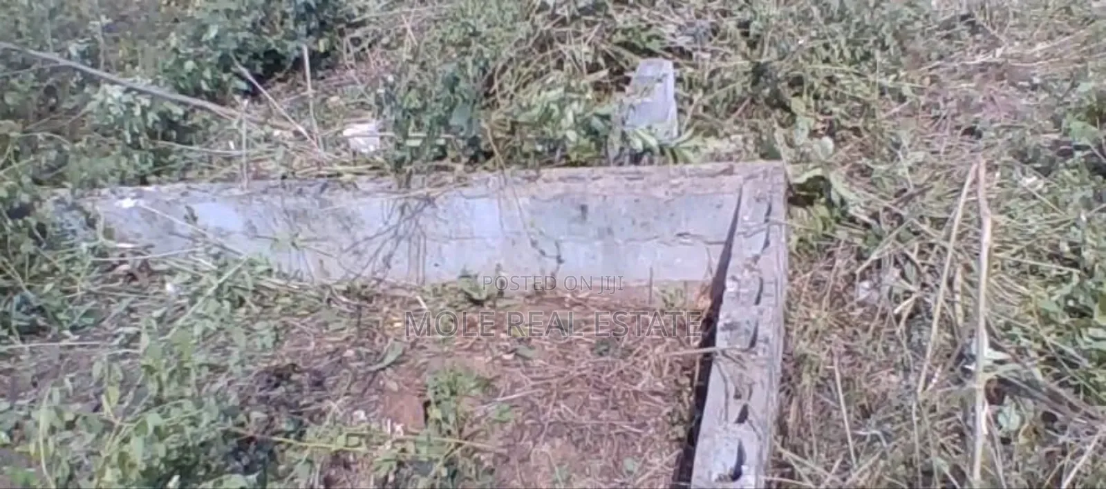 25ft By100ft Starter Plot Ijegun New Solar Estate