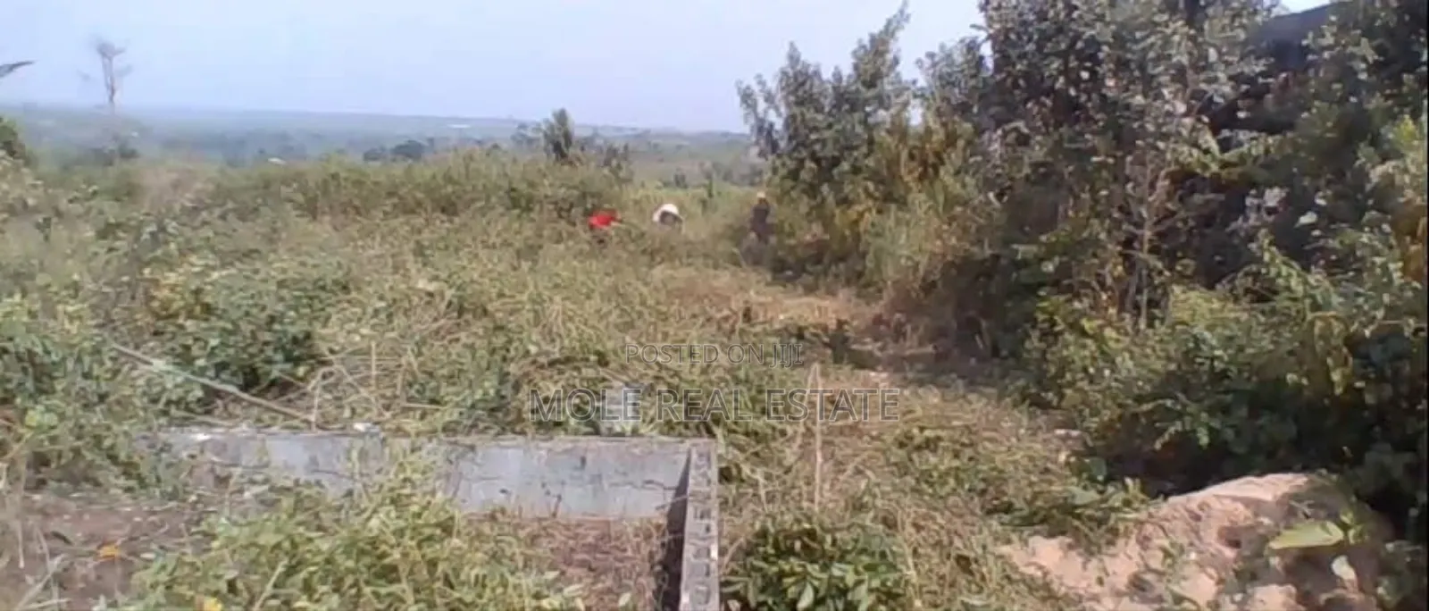 25ft By100ft Starter Plot Ijegun New Solar Estate
