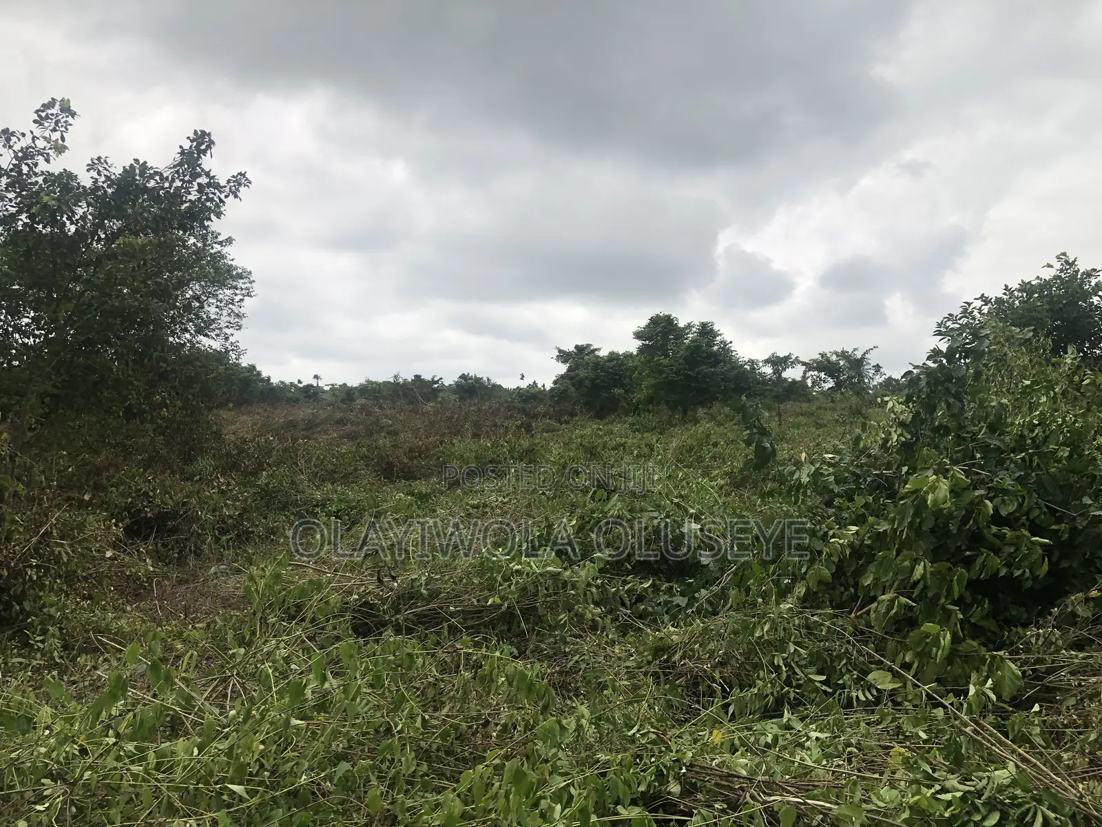 Agricultural Farmland Off Sagamu-Abeokuta Expressway