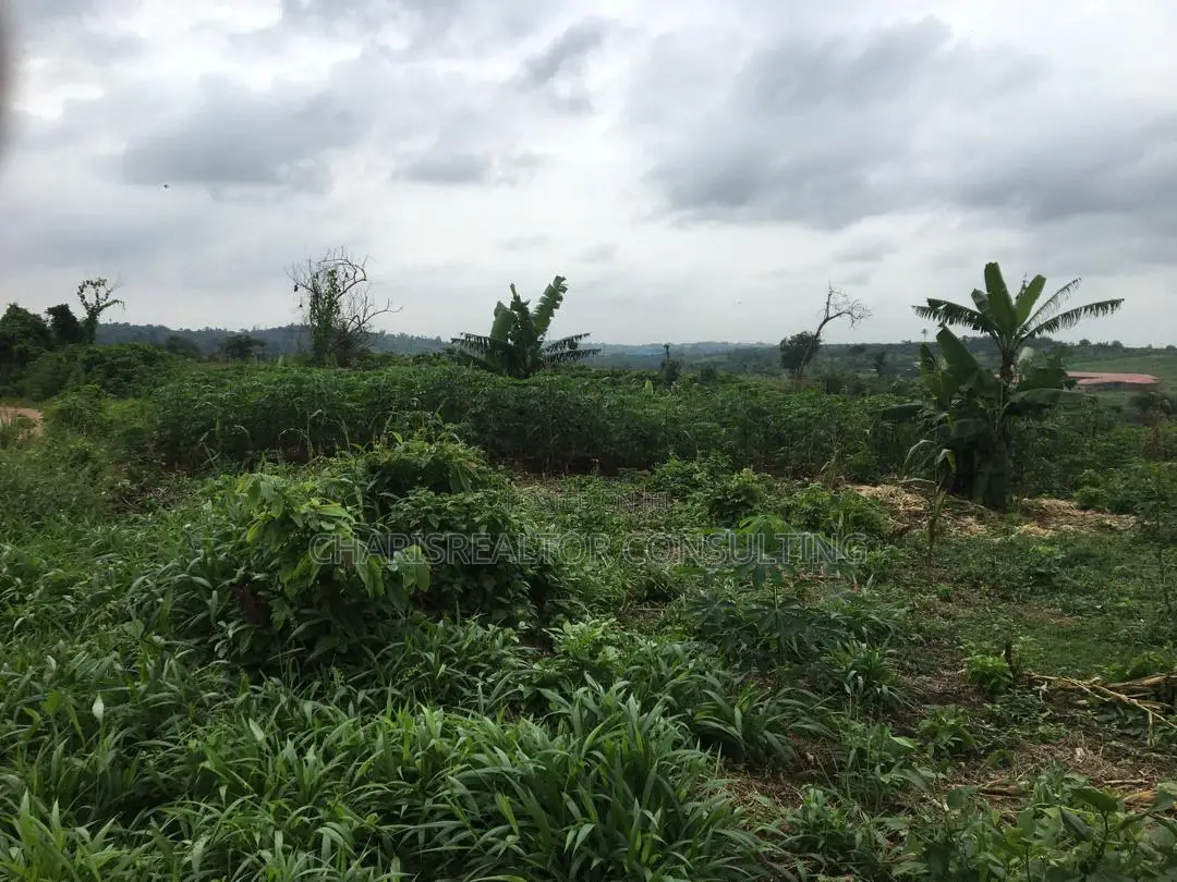 One Acres of Bareland
