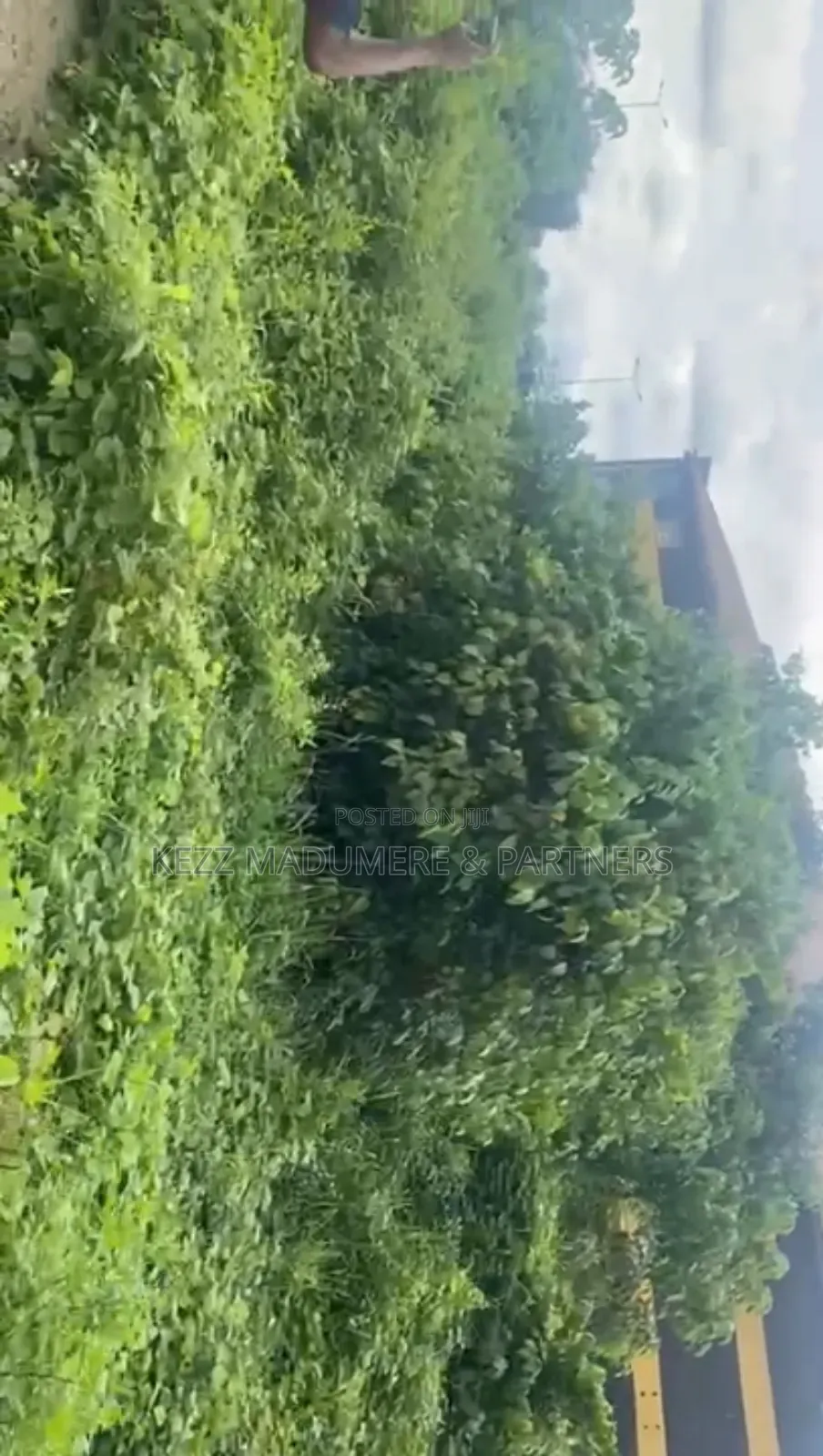 For Sale: 6 Plots by Airport Roundabout, Omagwa ,Ph