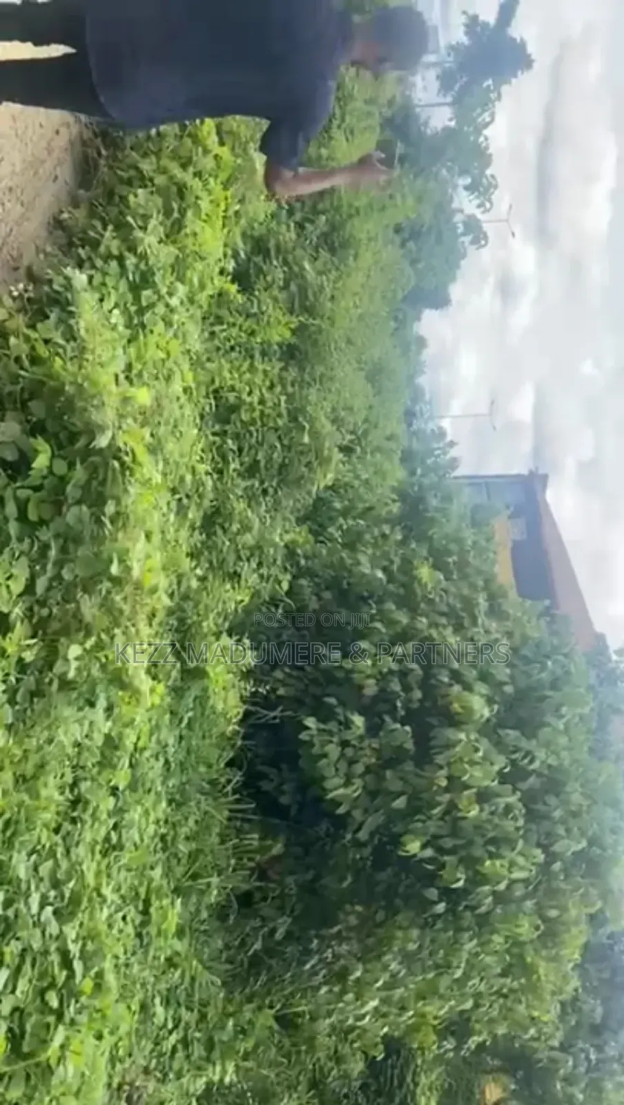 For Sale: 6 Plots by Airport Roundabout, Omagwa ,Ph