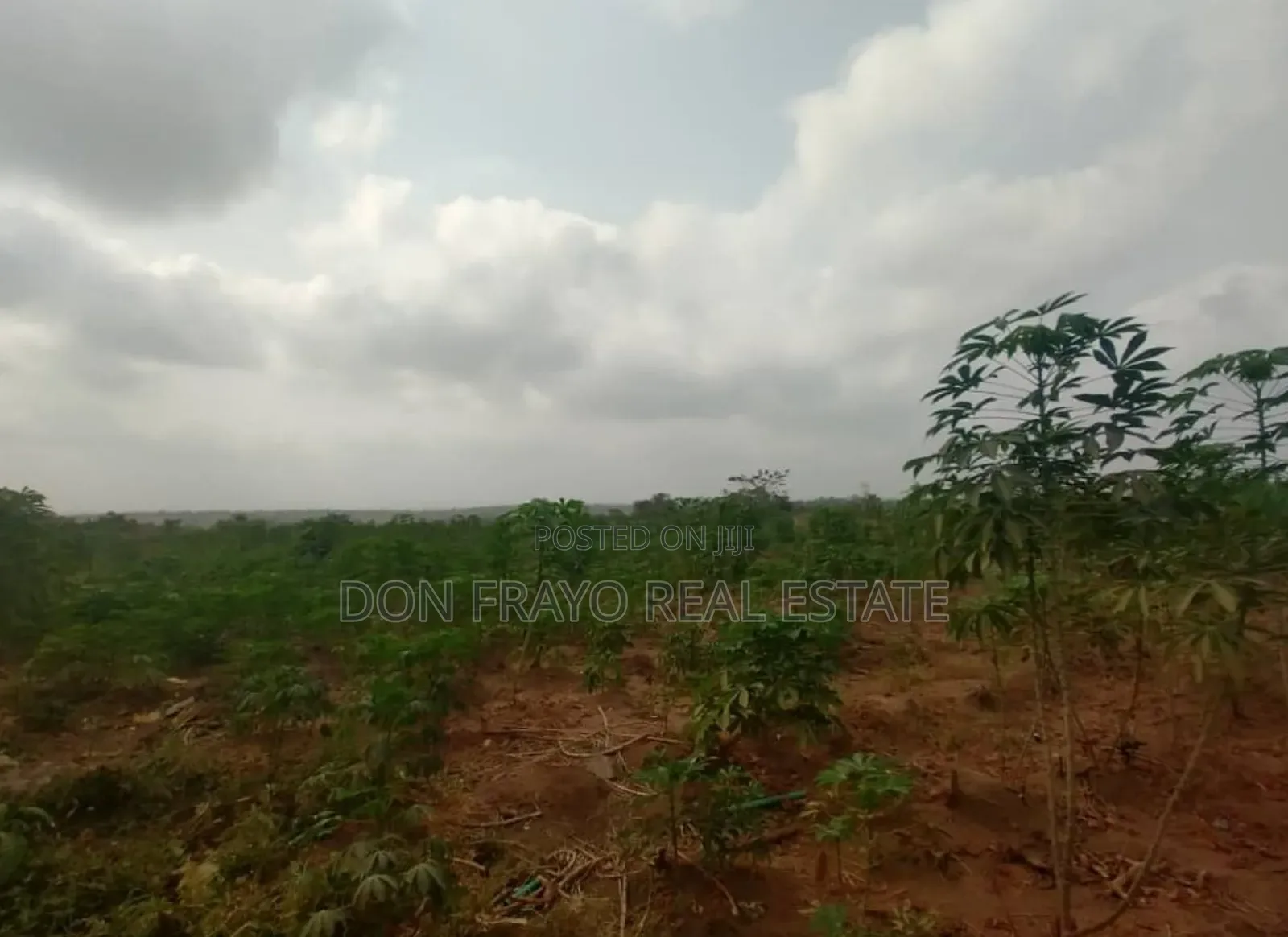 30 Acres Farmland for Sale at Ido / Eruwa Road Ibadan