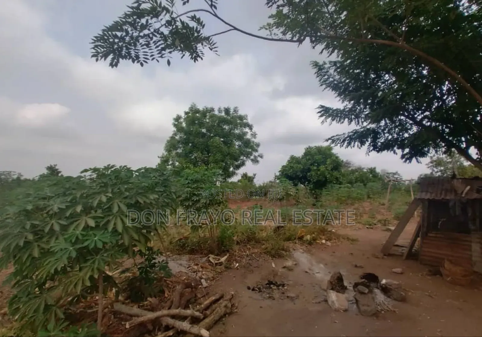 30 Acres Farmland for Sale at Ido / Eruwa Road Ibadan