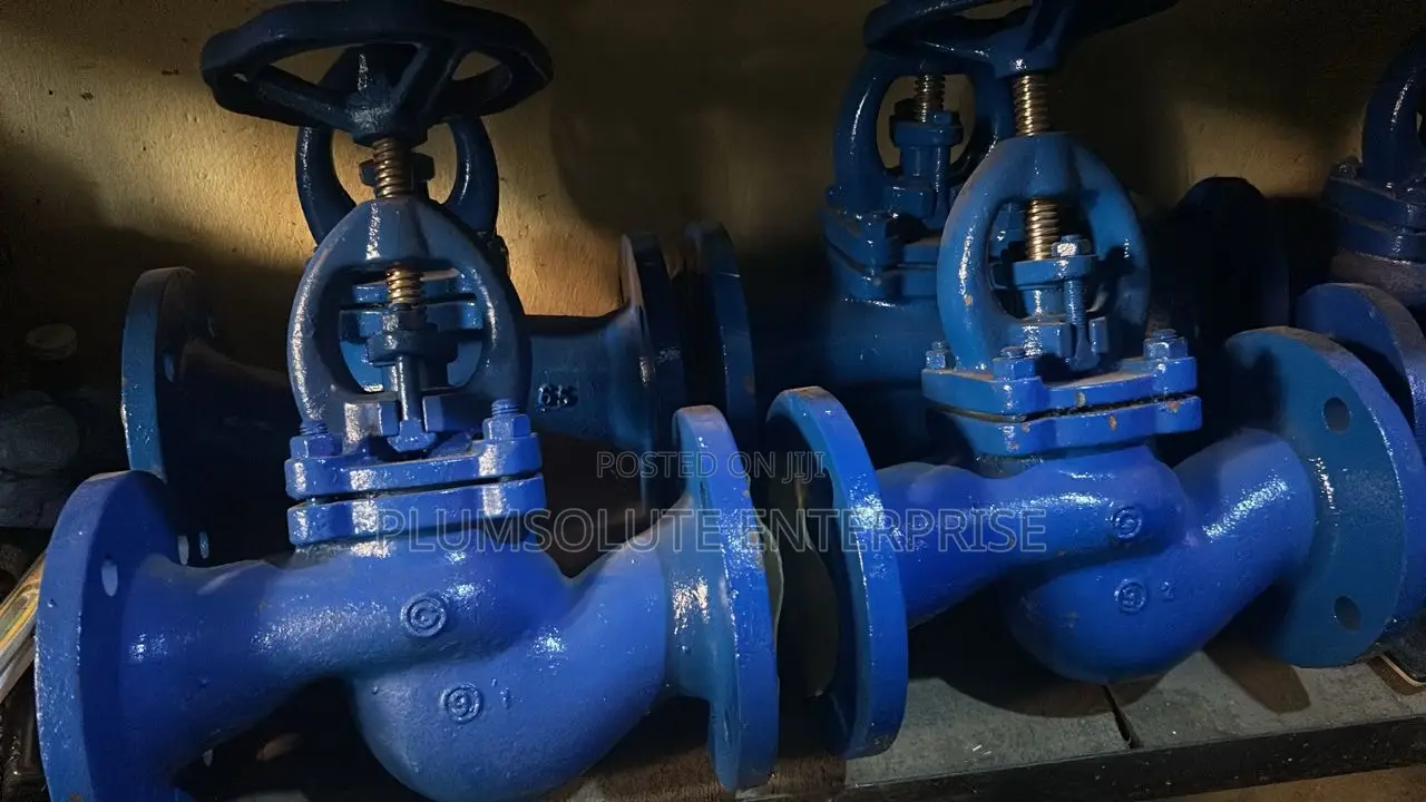 DN65 Globe Valve