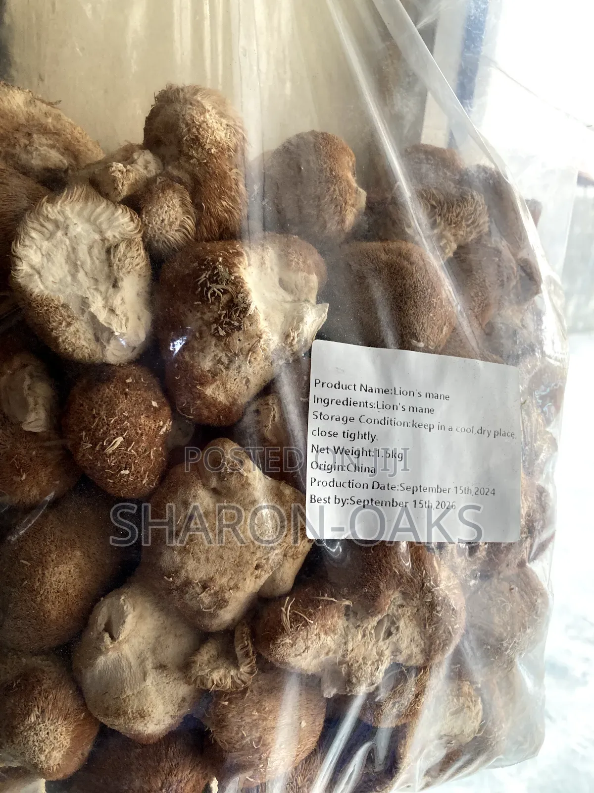 Lion Mane Mushroom 1kg