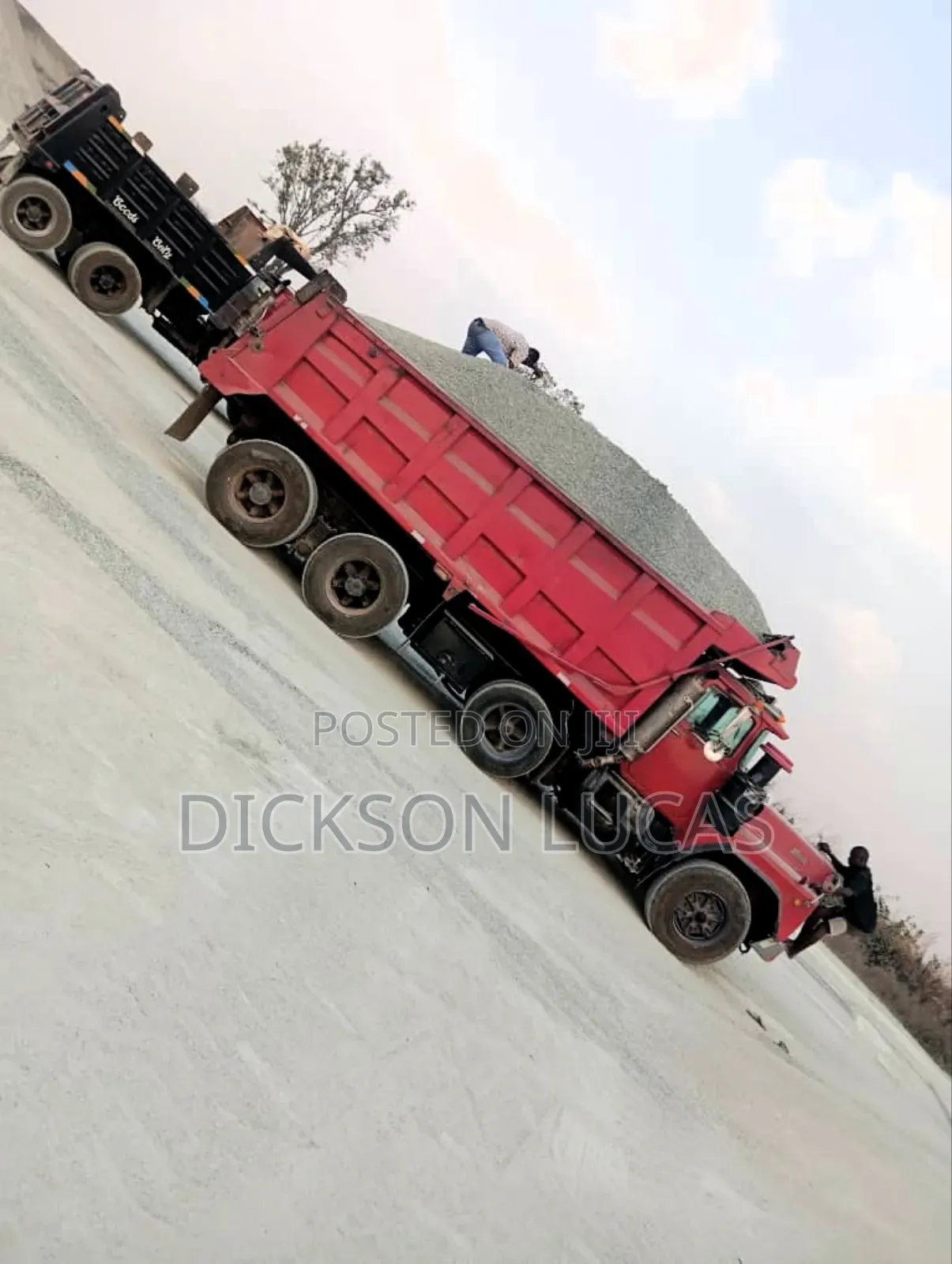 Chippings From Oriental Mining Company