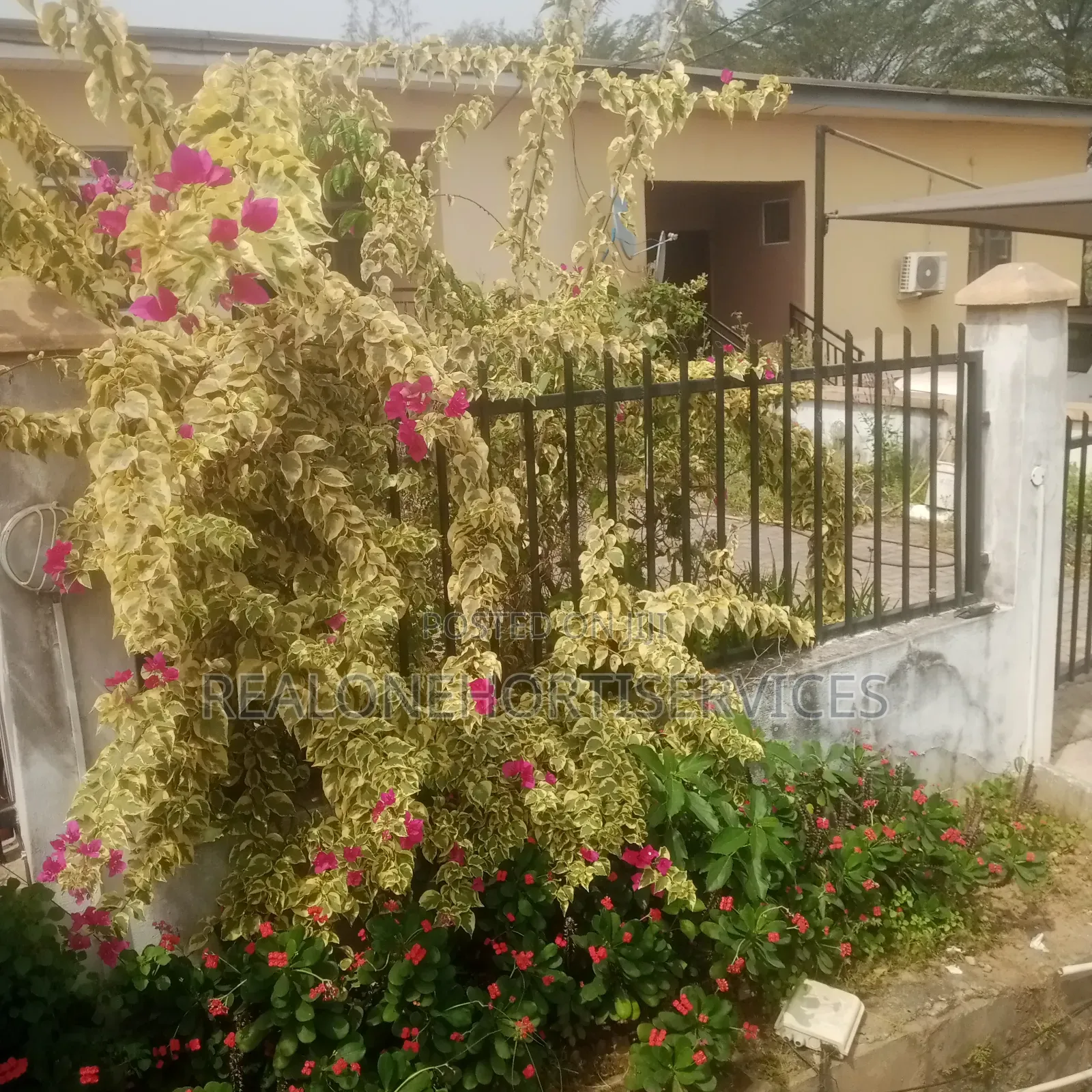Flower Man/Horticulturist for Your Green Space