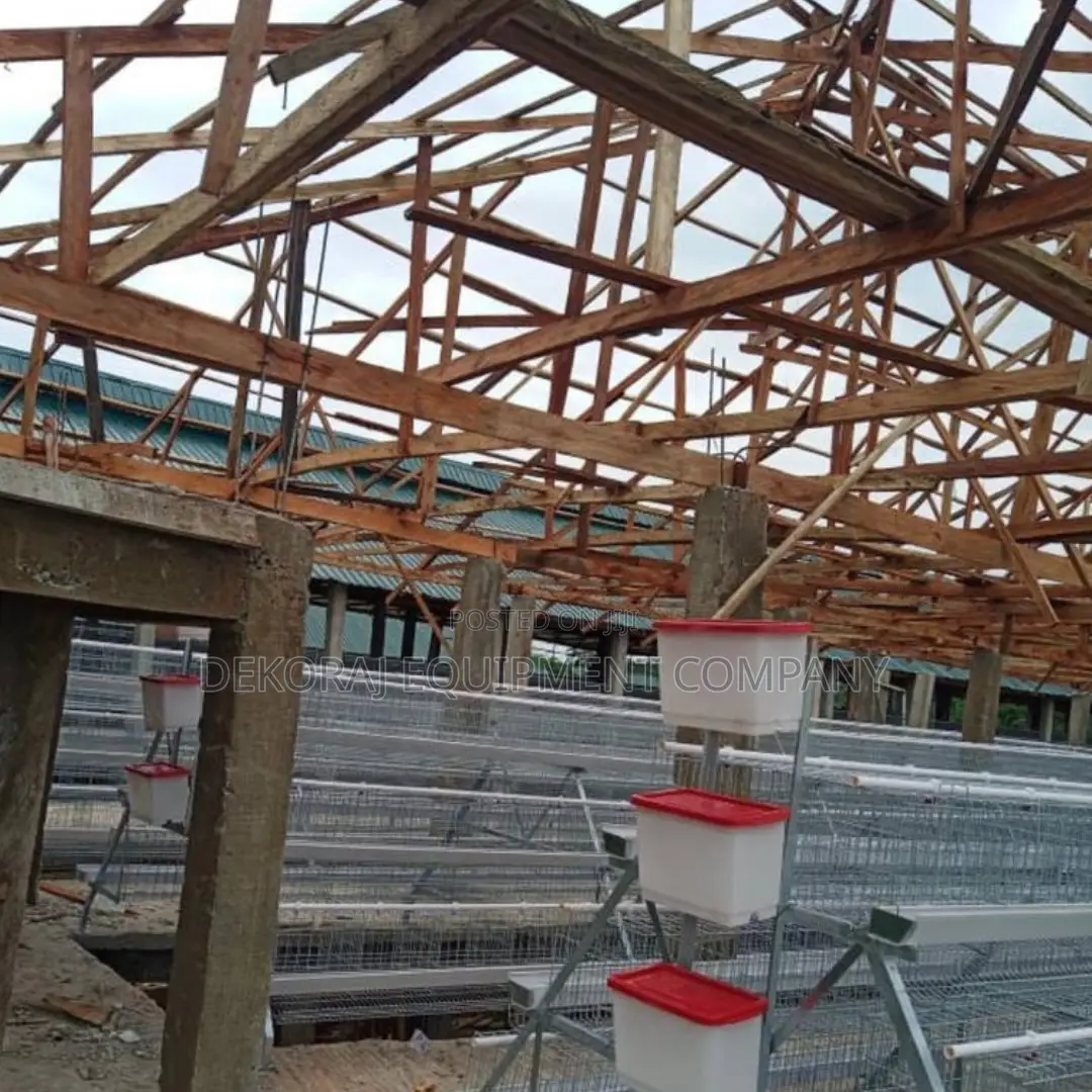 Build 5,000-bird Pen House And Cage System For ₦21m.