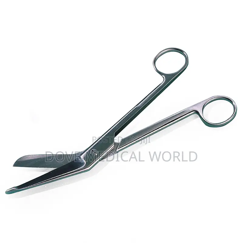 Plaster Scissors
