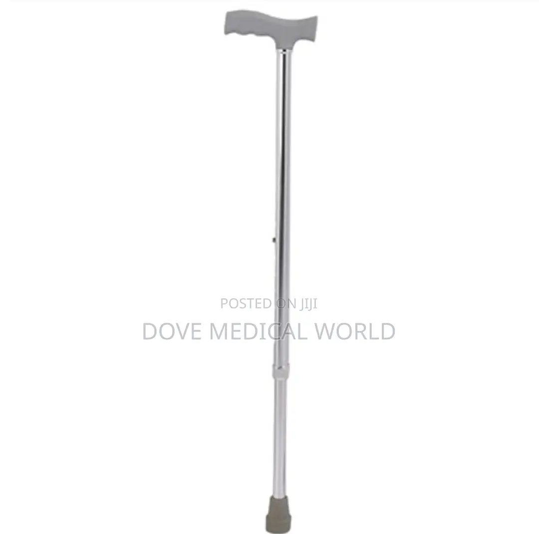 Walking Stick