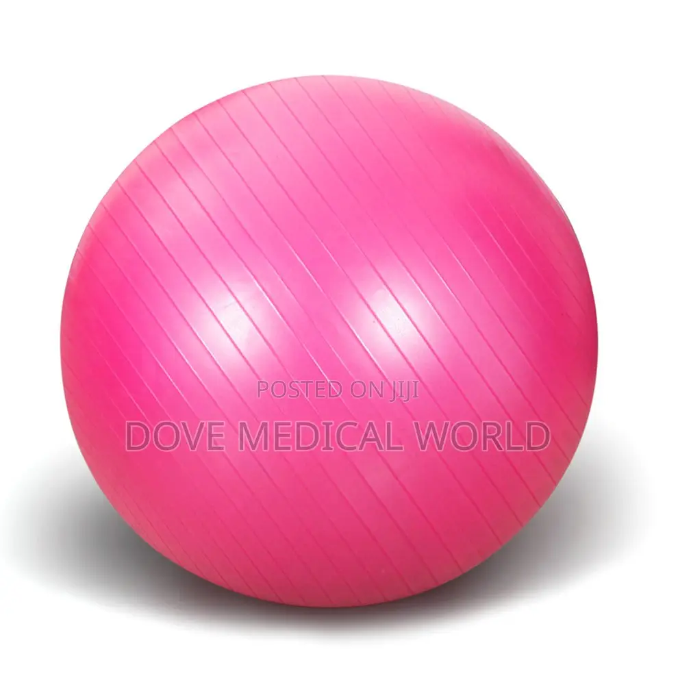 Swiss Ball 55cm / Gym Ball