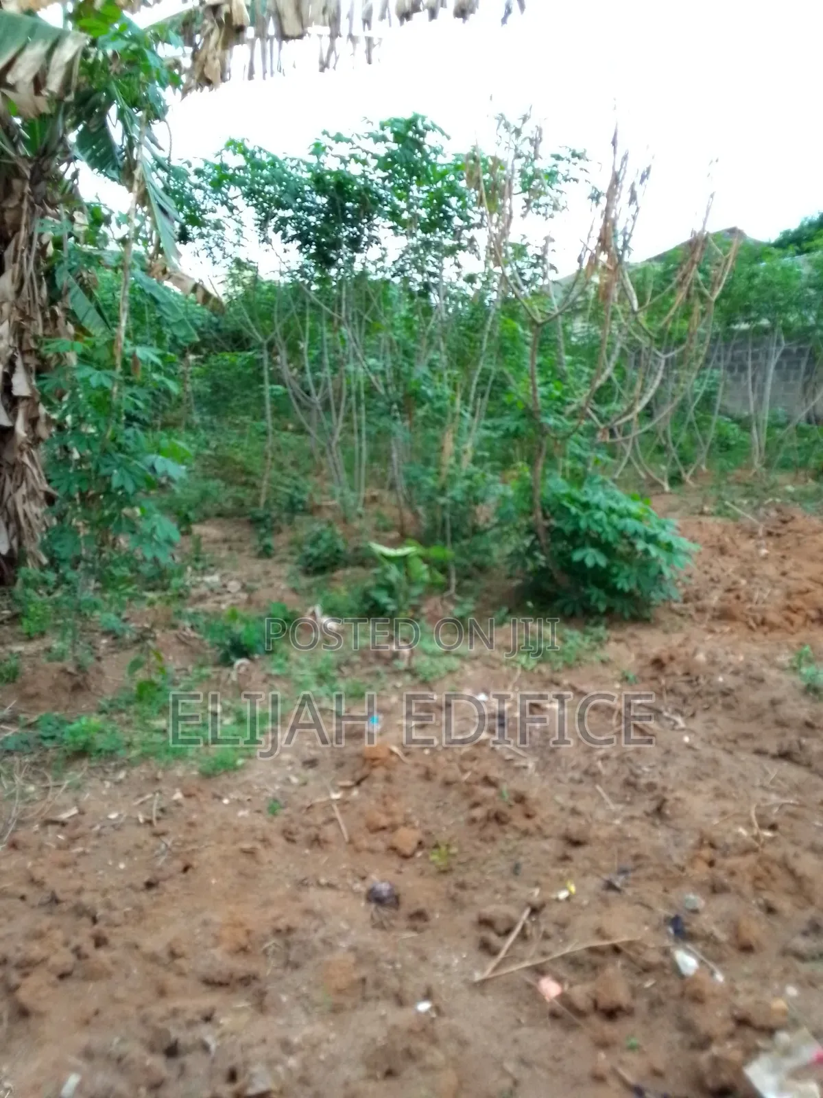Fenced Full Plot of Land in Parkview Ijede Ikorodu.