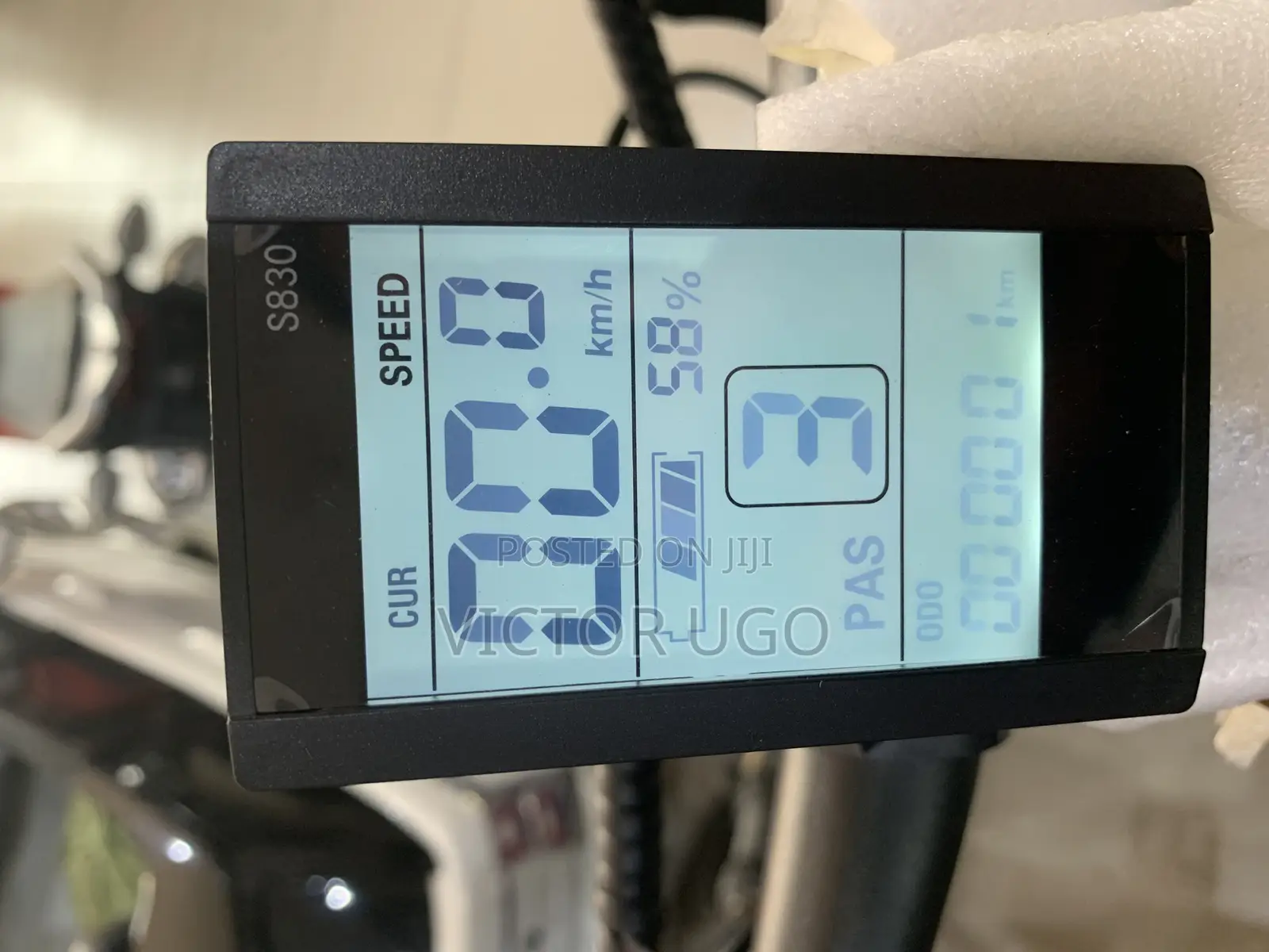 Aster Fat Tyre E-Bike