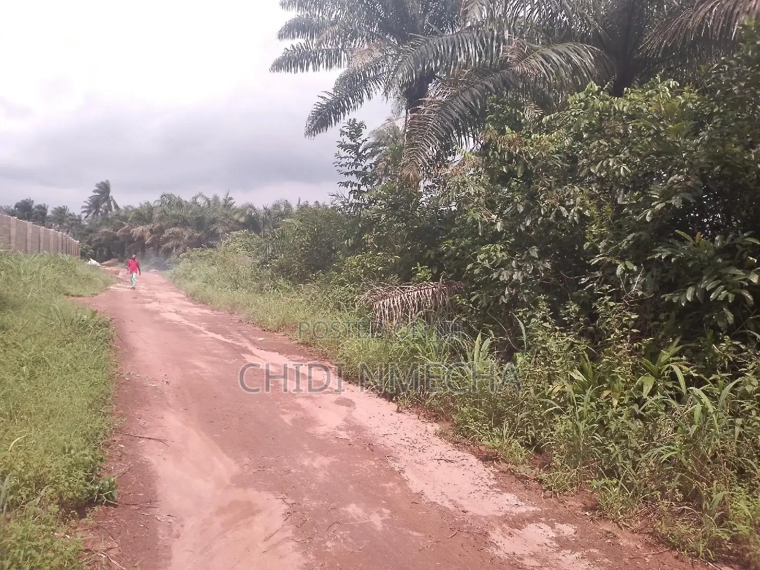 Plots of Land