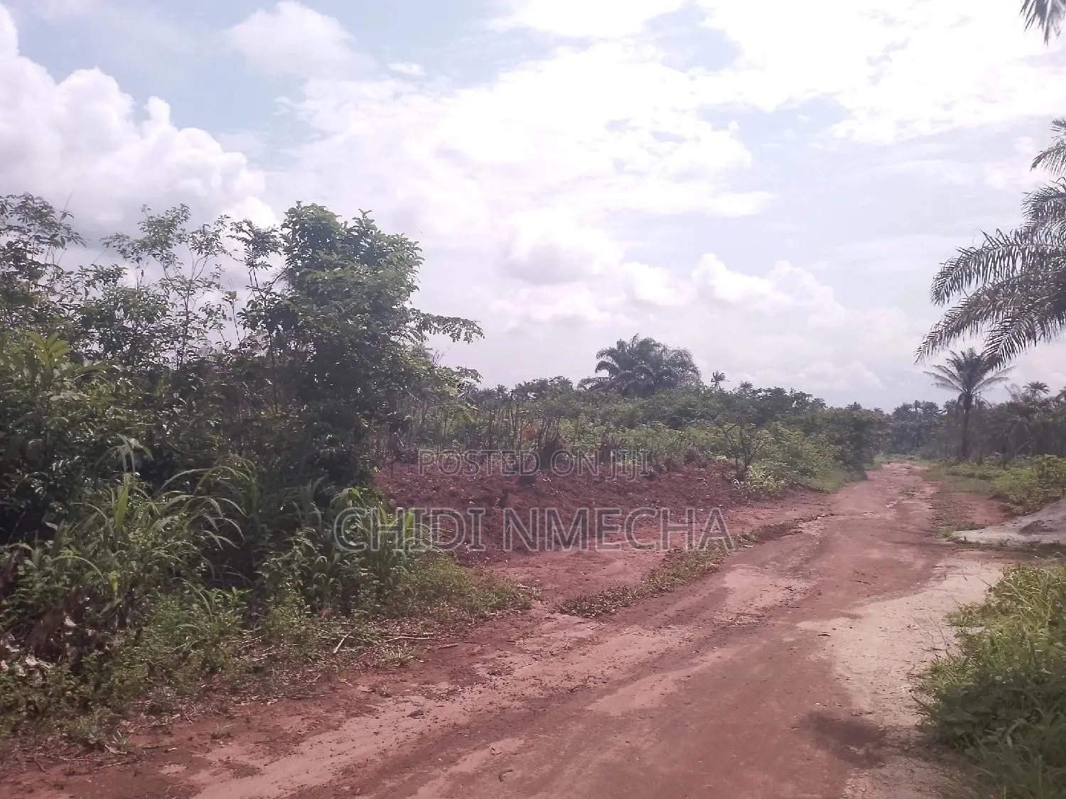 Plots of Land