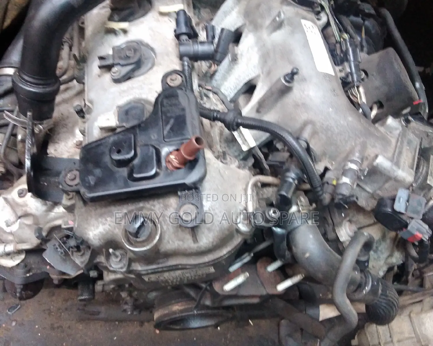 Ford Edenginege Tubor Charger V6