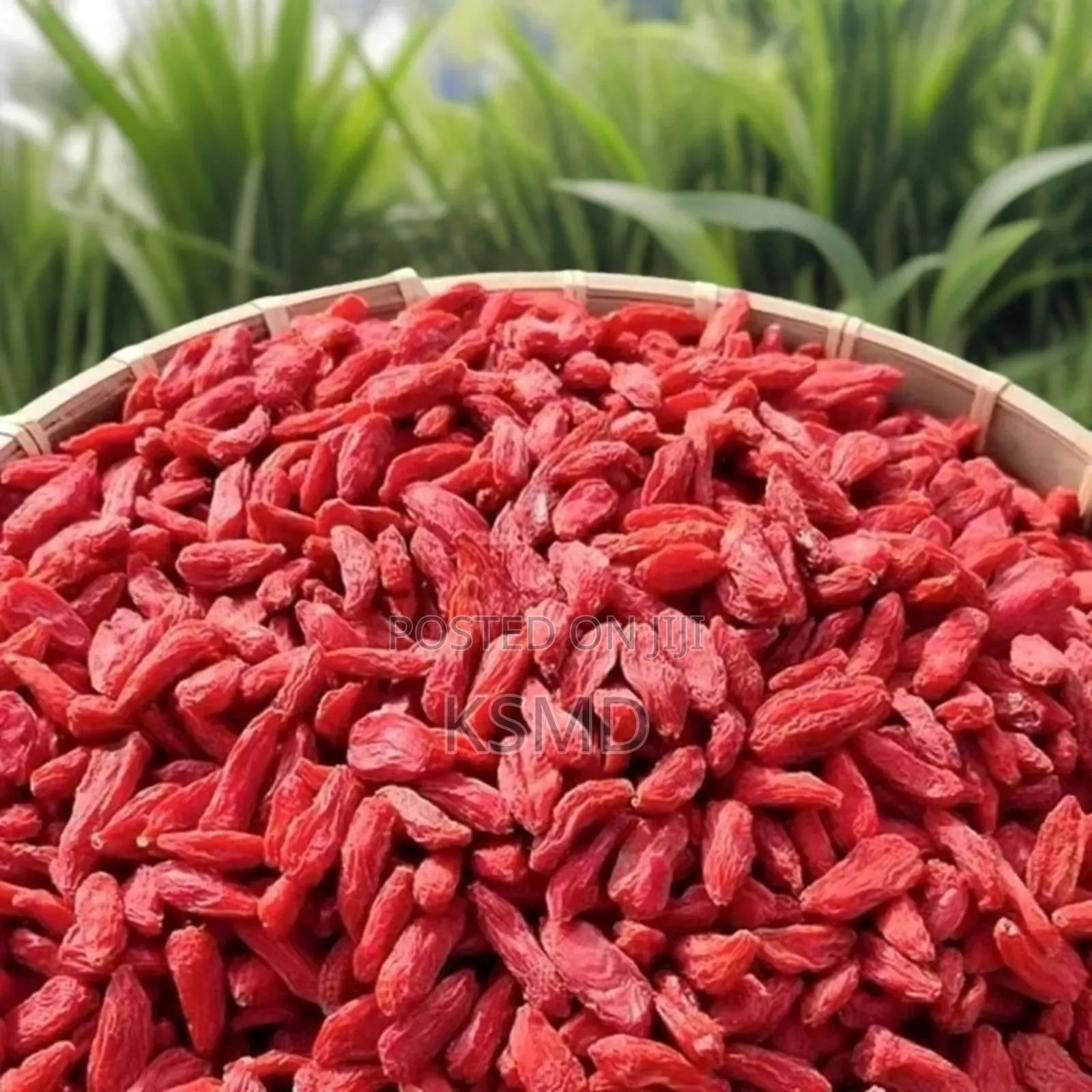 250gram Red Chinese Wolfberry