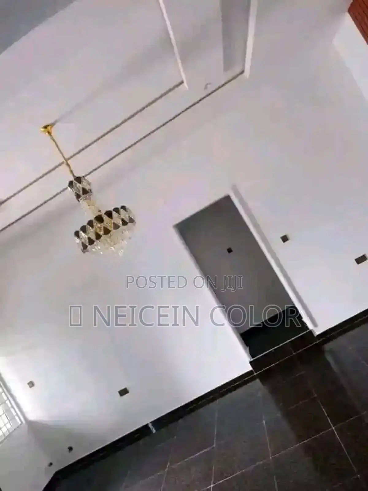 Professional Painter Abuja