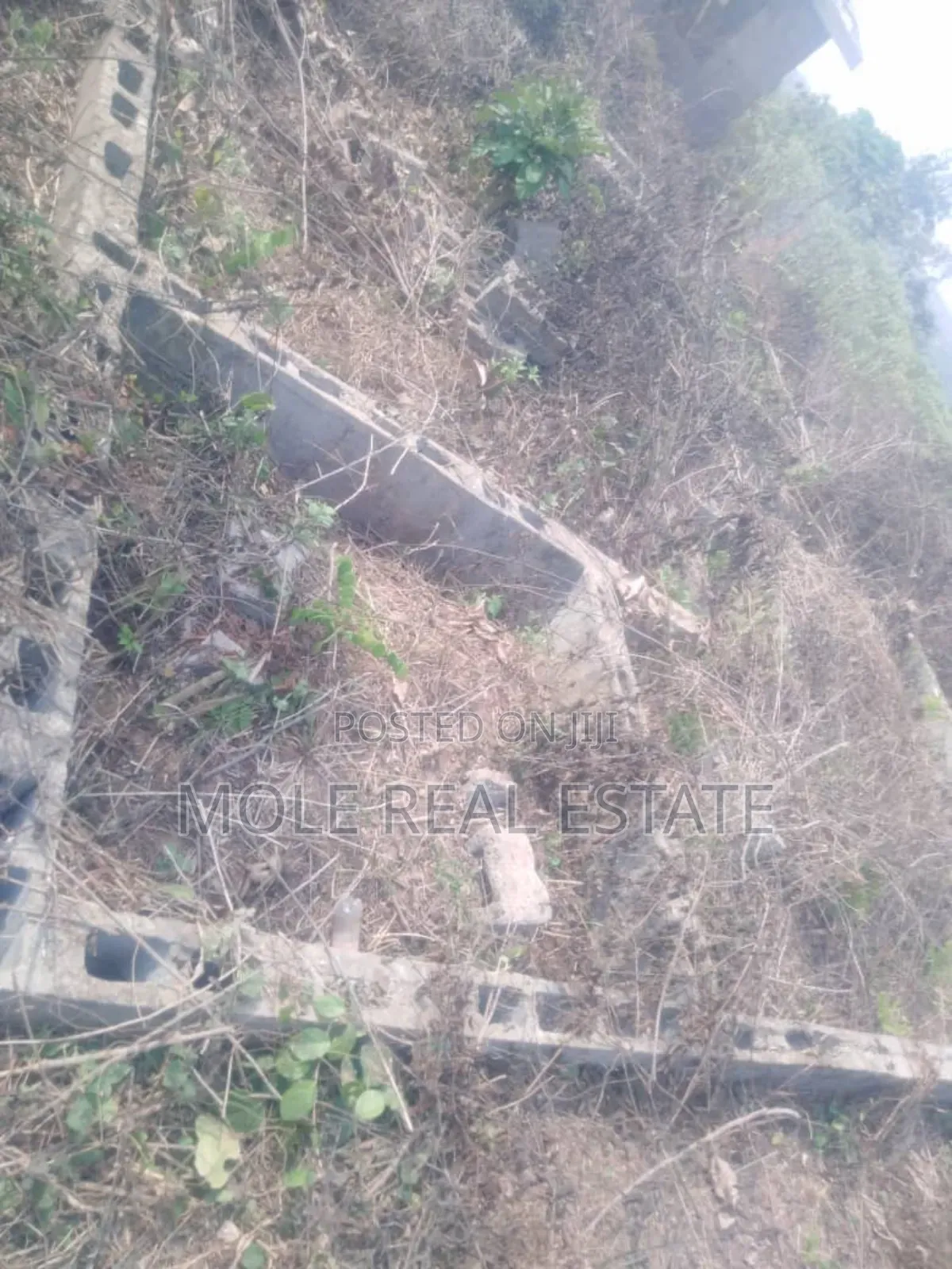 30ft by 120ft Half Plot at Bustop Ijegun Now Selling