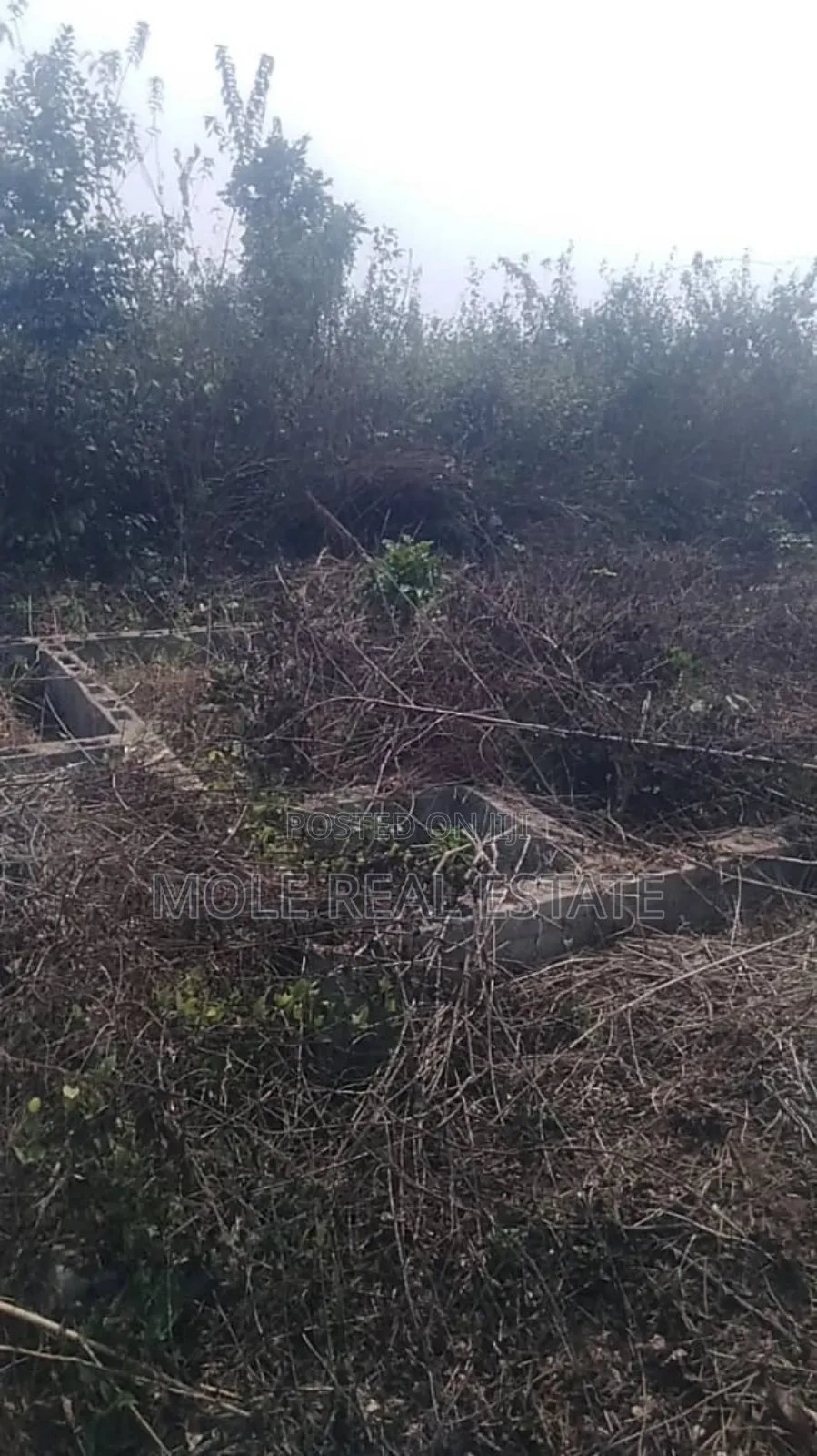 60ft by 120ft Full Plot at Bustop Ijegun Festac Link