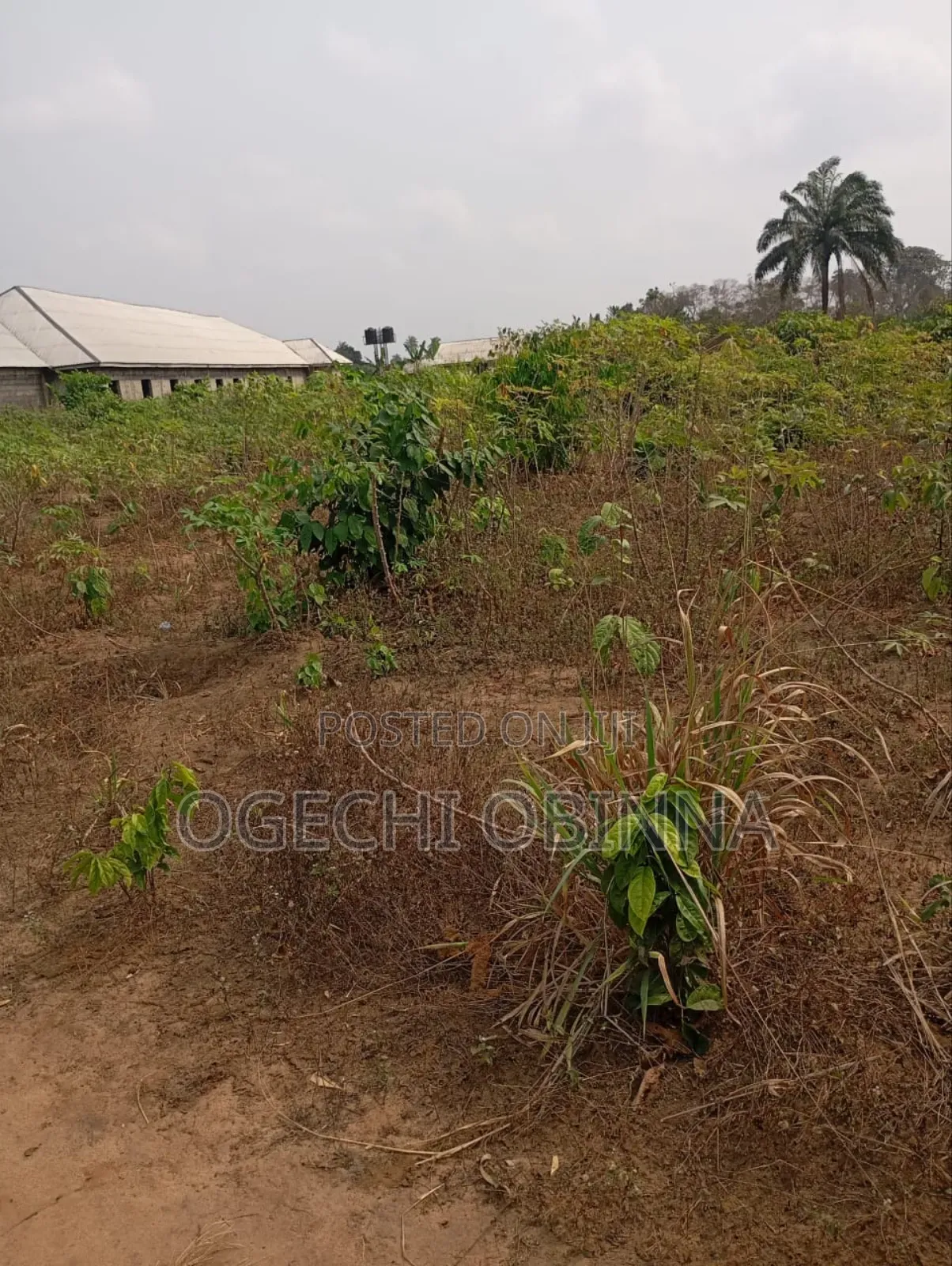 Distress Buy Build Genuine 15 Plots 4 Sale at Abara Etche