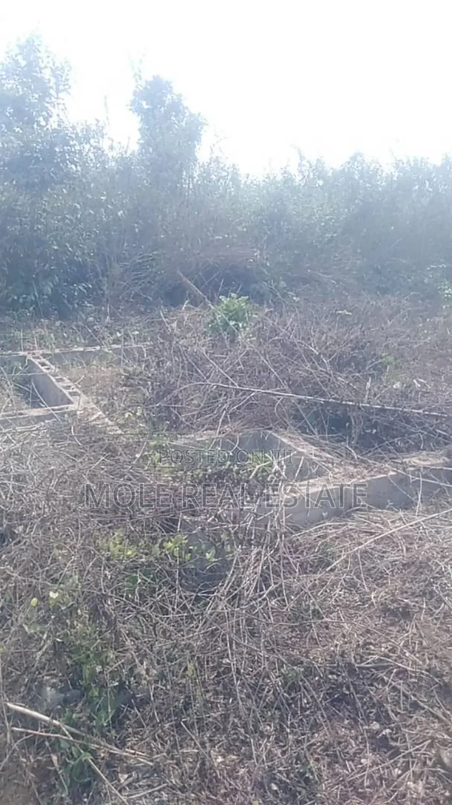 60ft by 120ft Agbowa Ikorodu DISTRESS Sale
