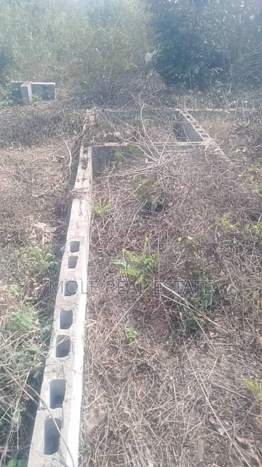 50ft by 50ft at a Bustop Ijegun Festac Link RD