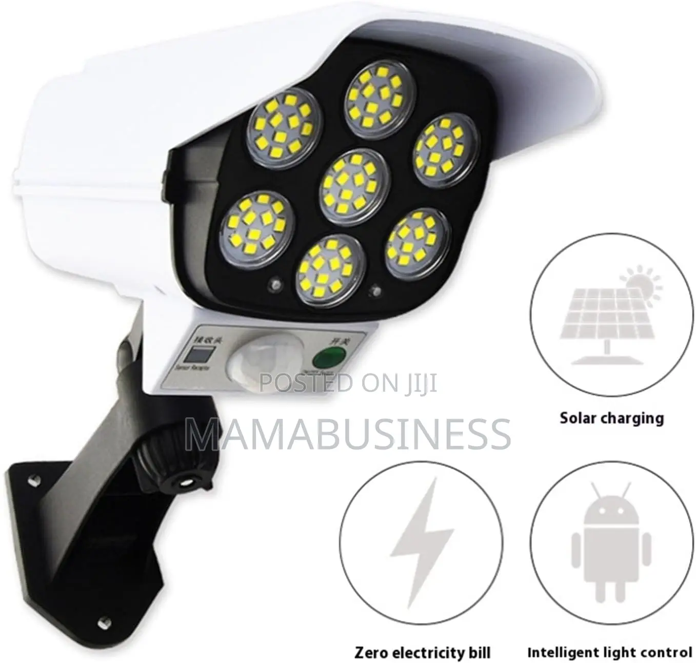 Solar Powered Sports Spotlight